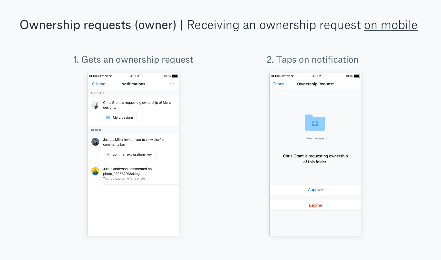 Receiving an ownership request on mobile_preview.png