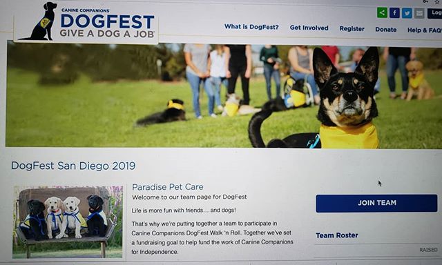 #DogFest2019 #joinourteam