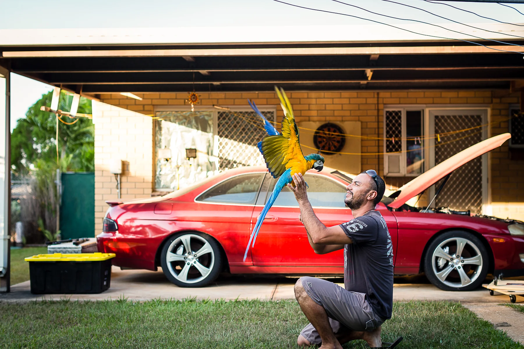 highres tiff_8894.jpg