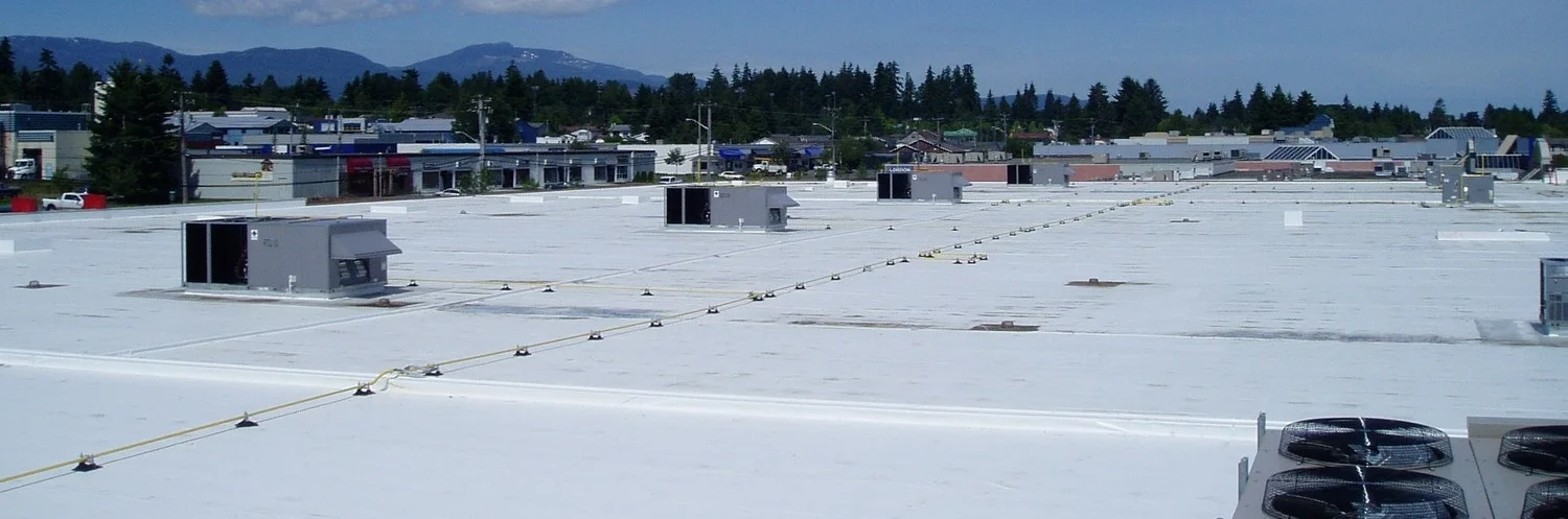 Target CR - Roof TPO 3 - Cropped.JPG