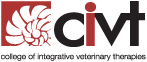 CIVT Logo