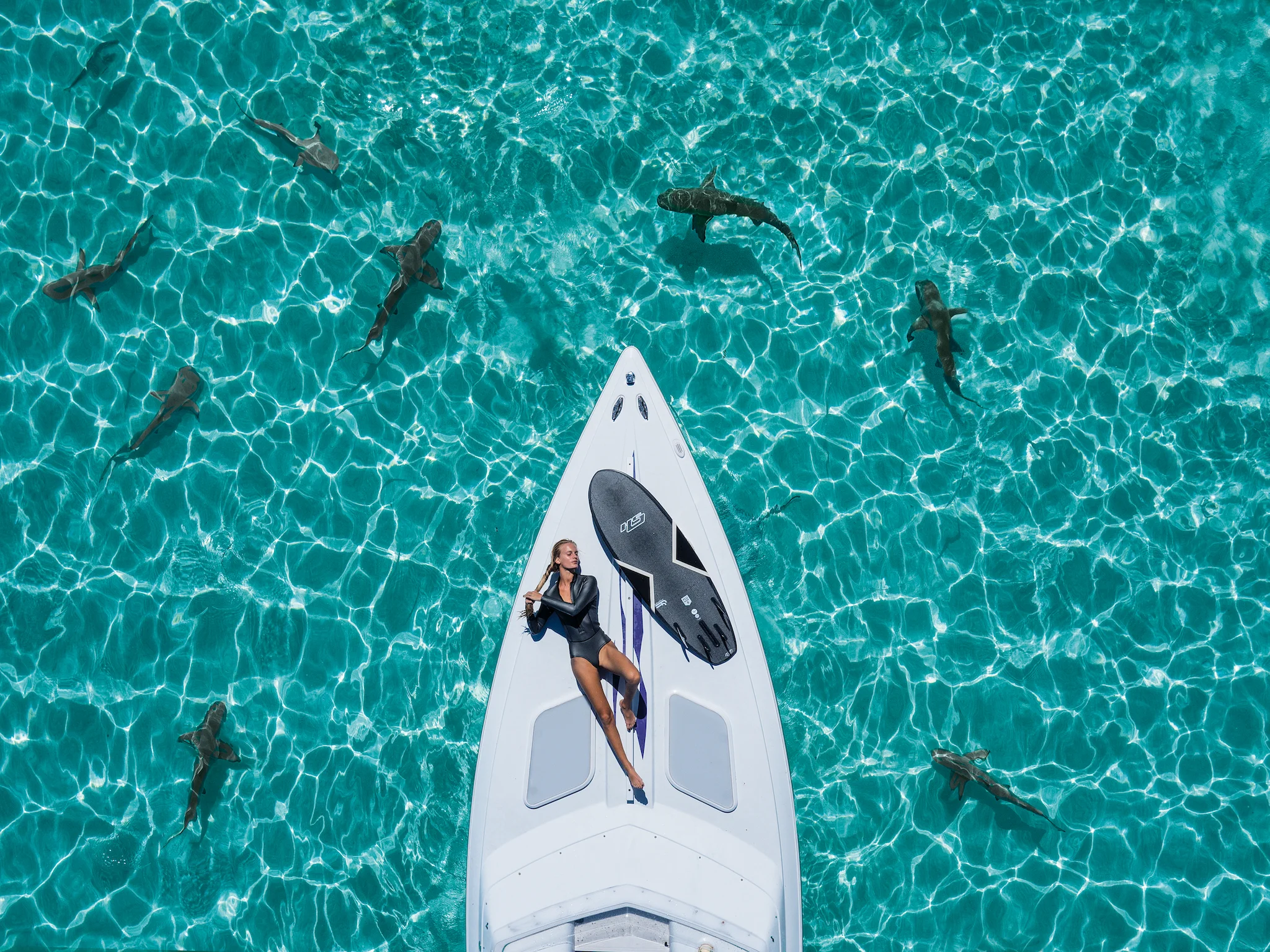 Some days are better than others in the career of a photographer