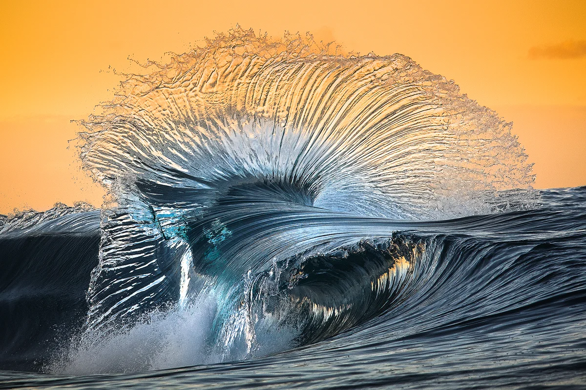 450A9225-Eyelash.jpg