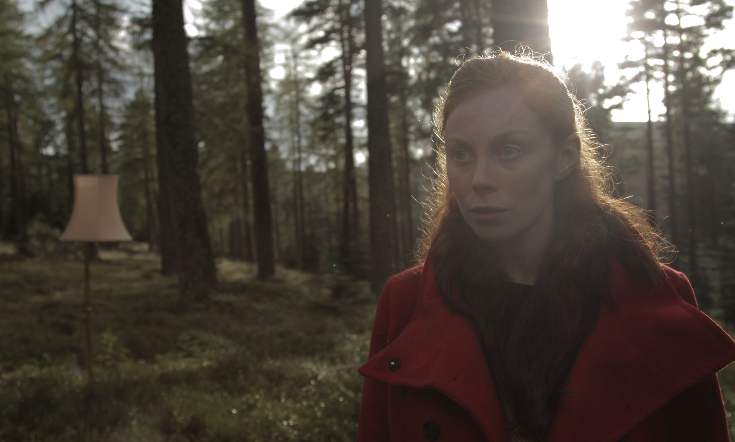 Beyond Still 3.png