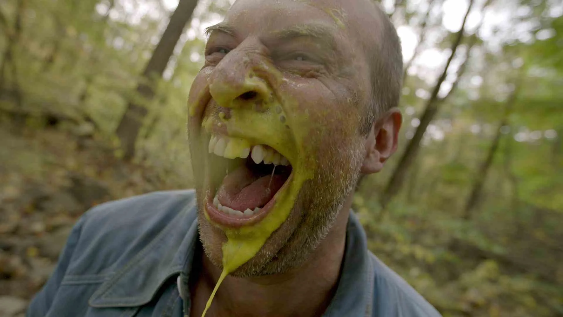 Willy_Yellow copy.jpg
