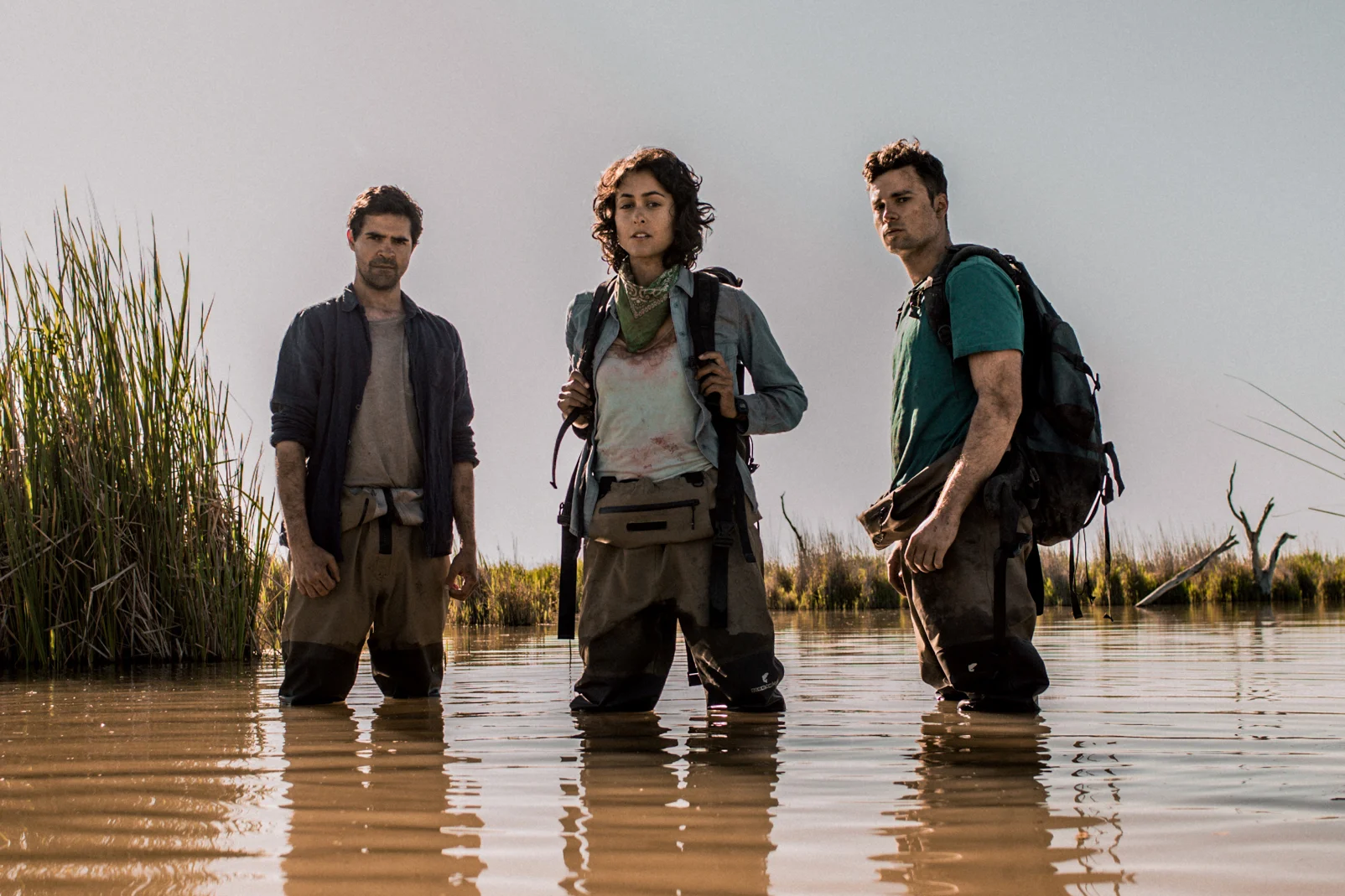 THE MARSHES