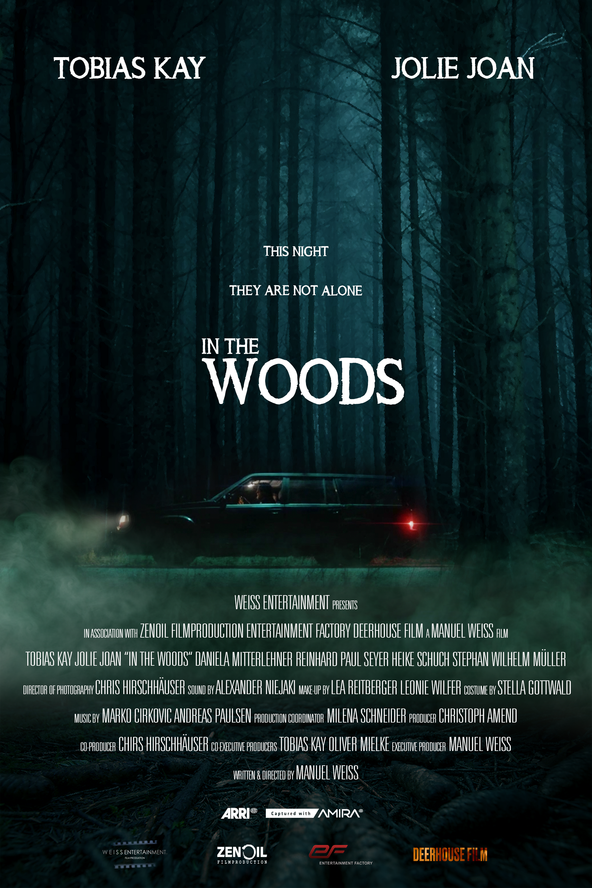 IN THE WOODS.png