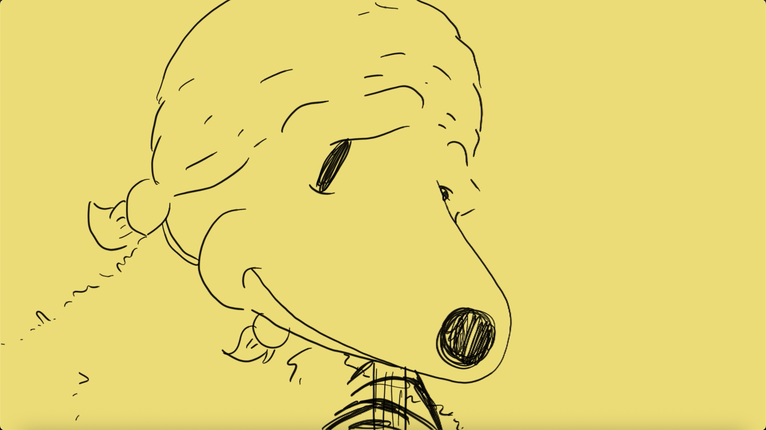 G’ITIS BAGGS - COUNTRY SOUL 