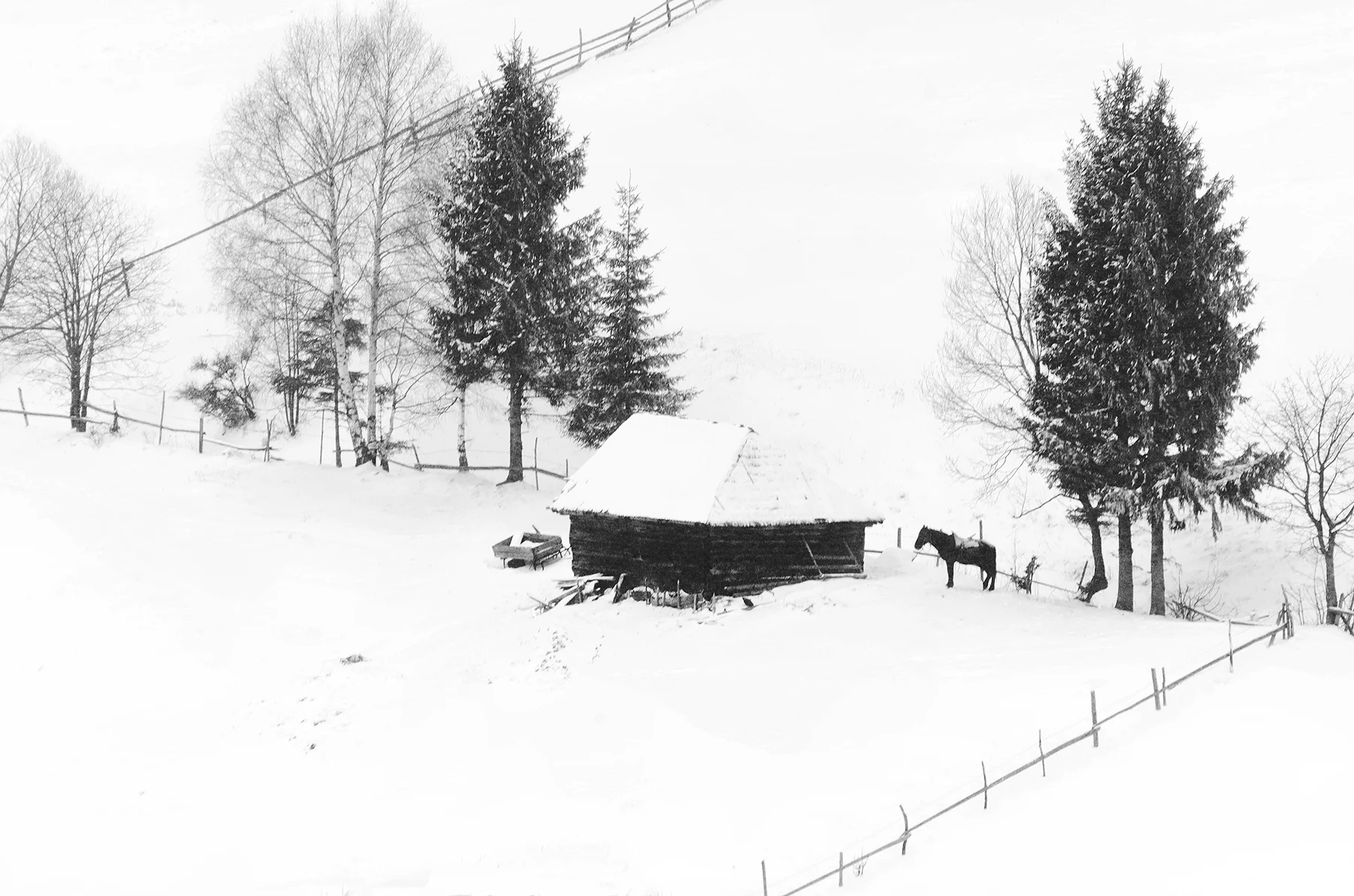SNC_0421.jpg
