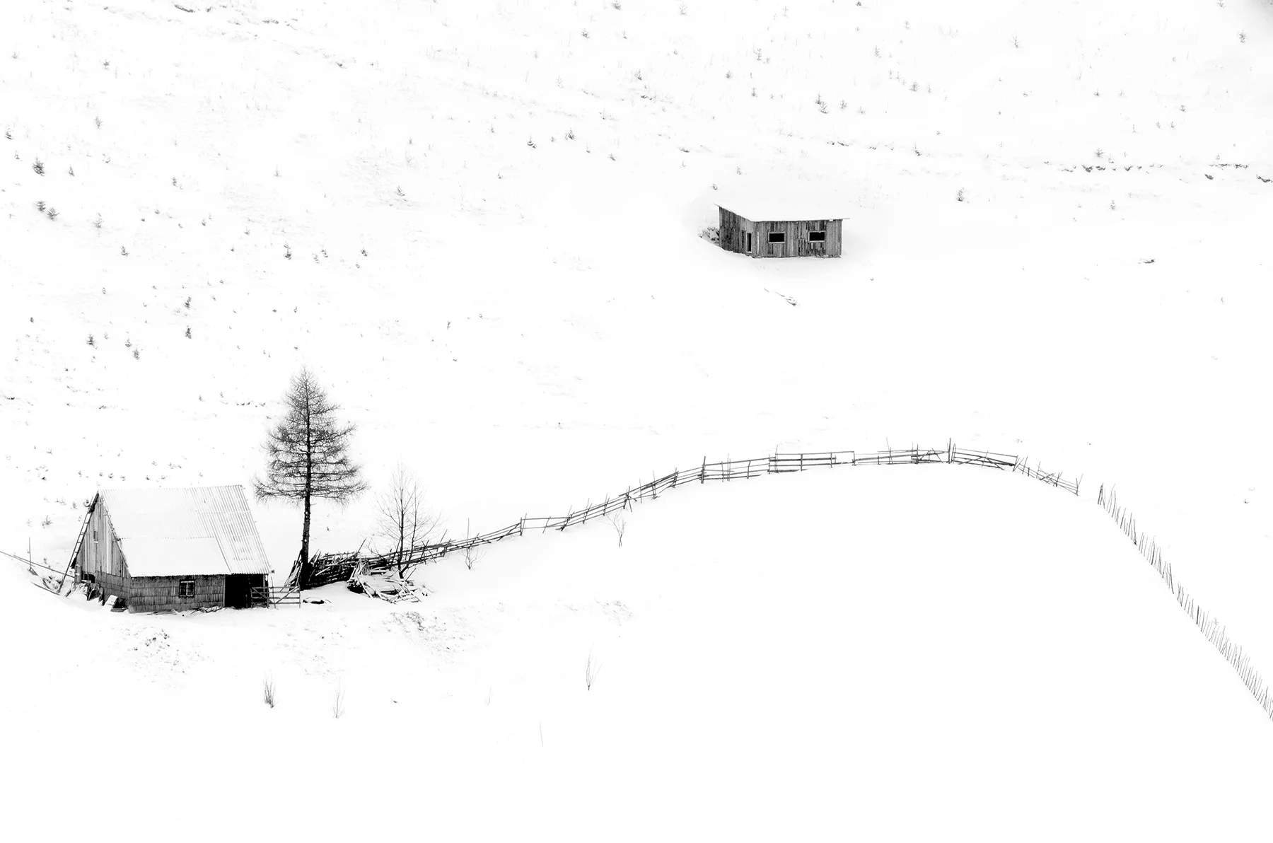 SNC_0488.jpg