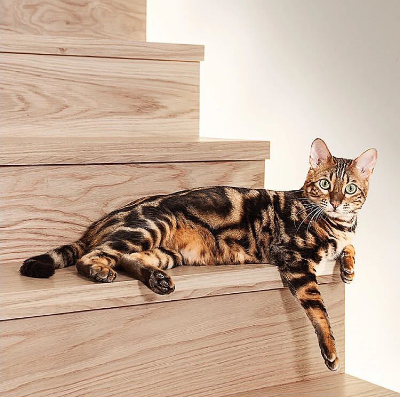 OB_The_Zinc_House_Staircase.jpg
