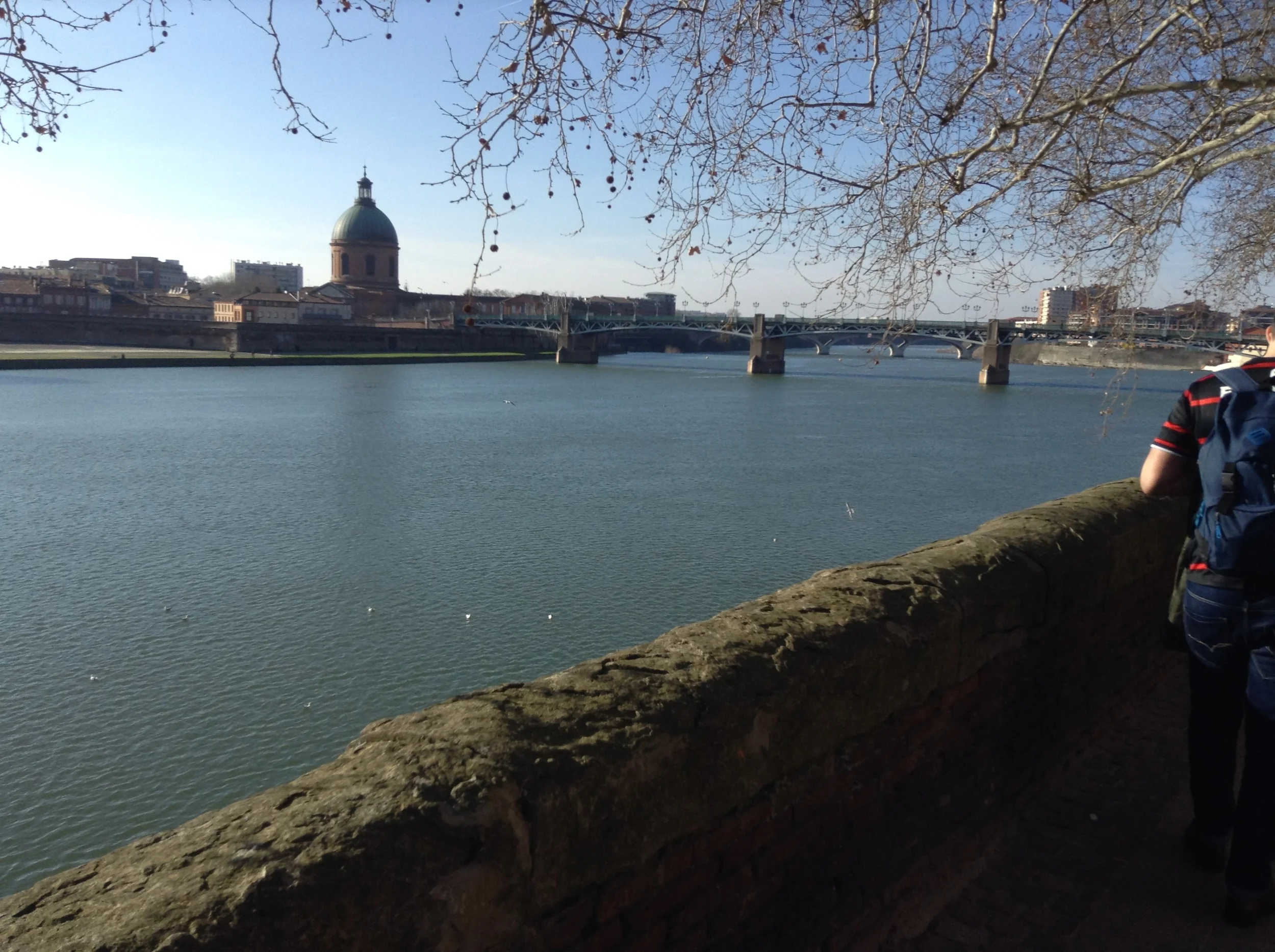 Toulouse-2014-82.JPG