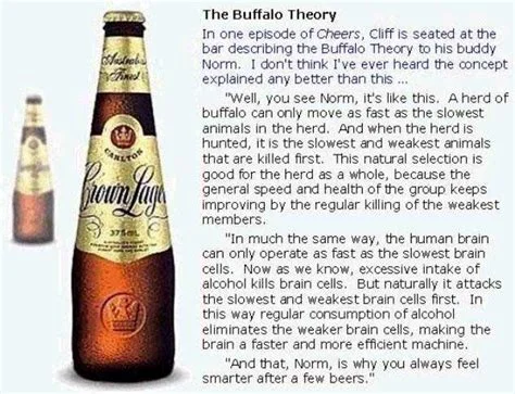 Buffalo Theory.jpg