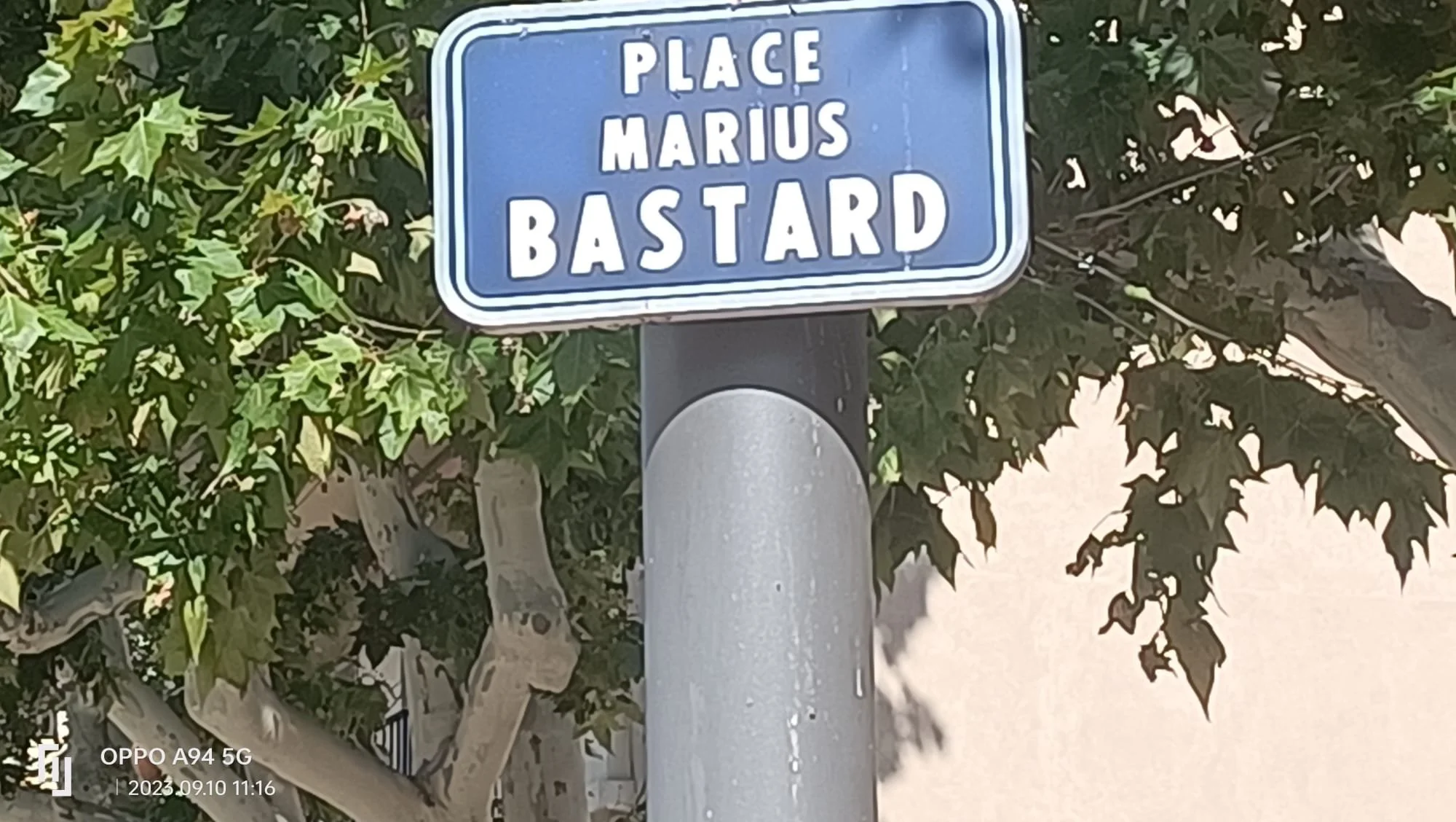 WhatsApp Image 2023-09-13 at 20.13.45.jpeg