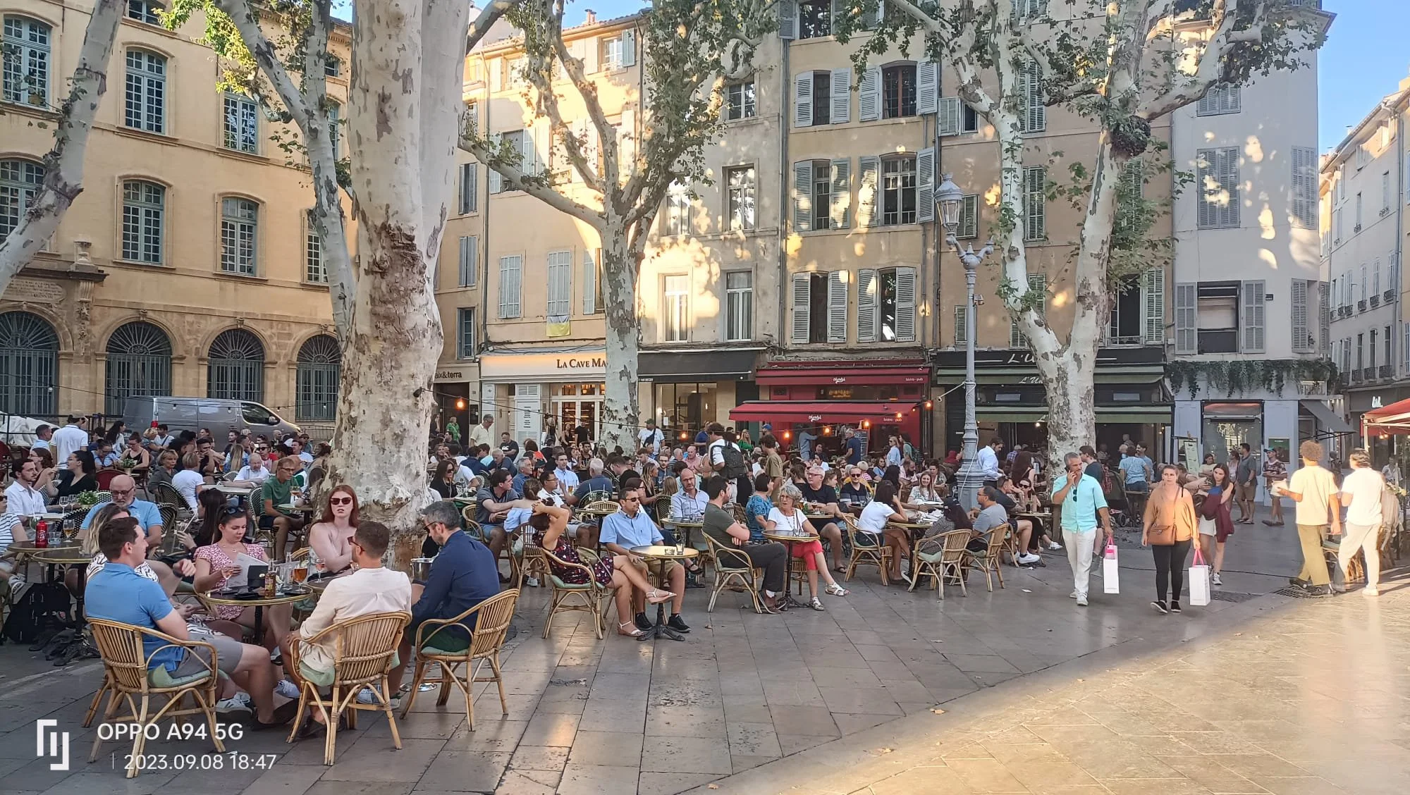 WhatsApp Image 2023-09-13 at 20.21.52.jpeg