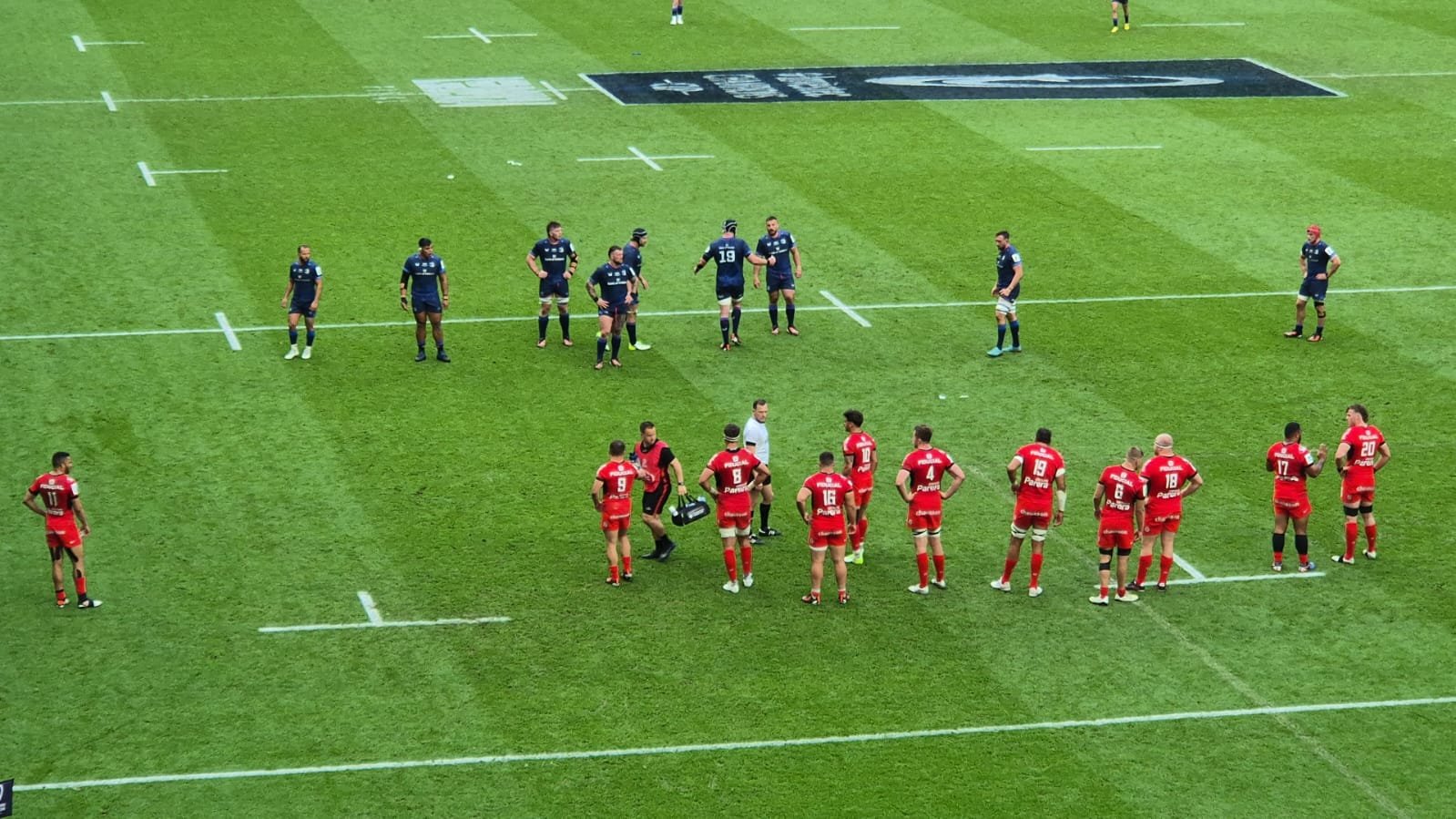11 Leinster v Toulouse.jpg