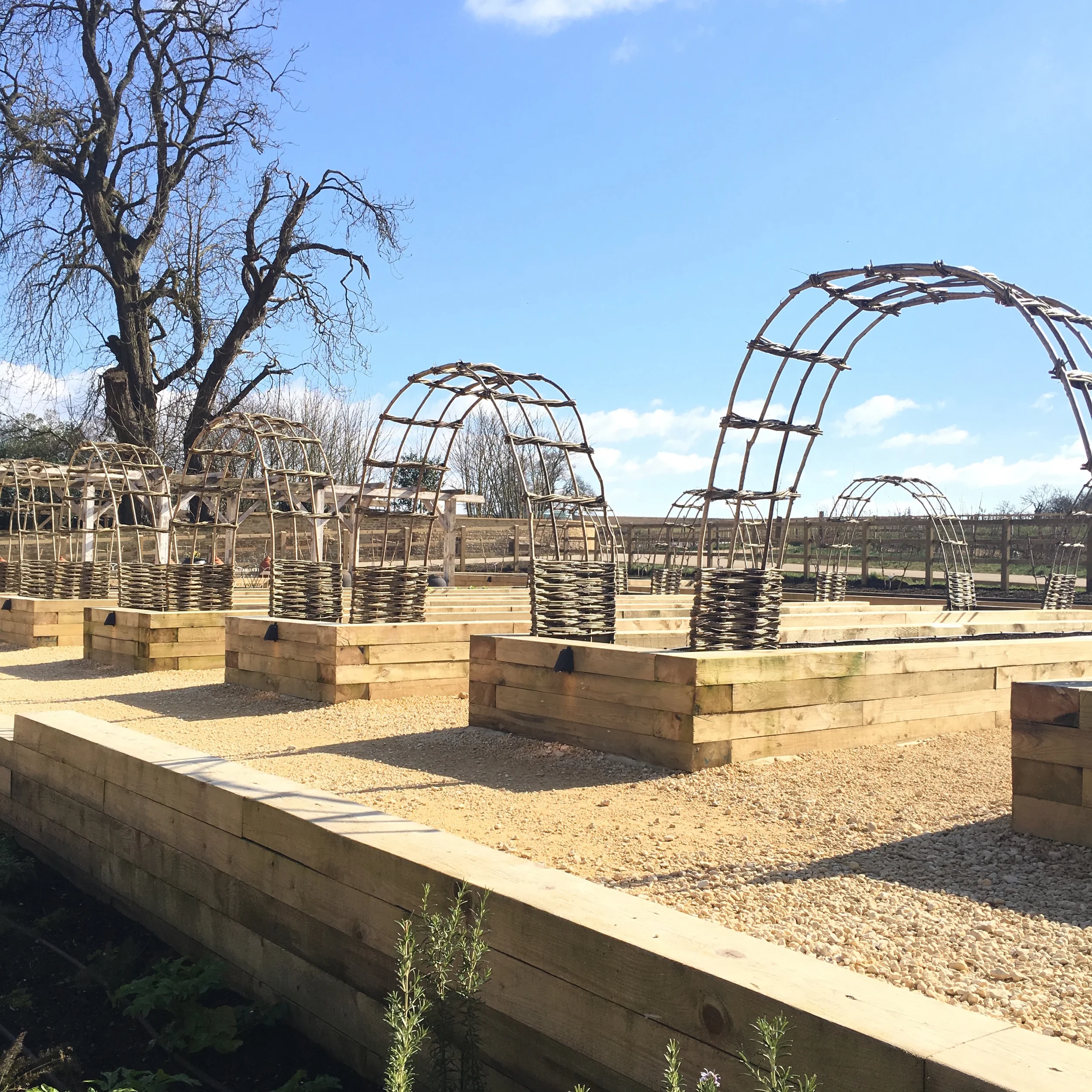The Kitchen Garden at Soho Farmhouse, ready for planting!