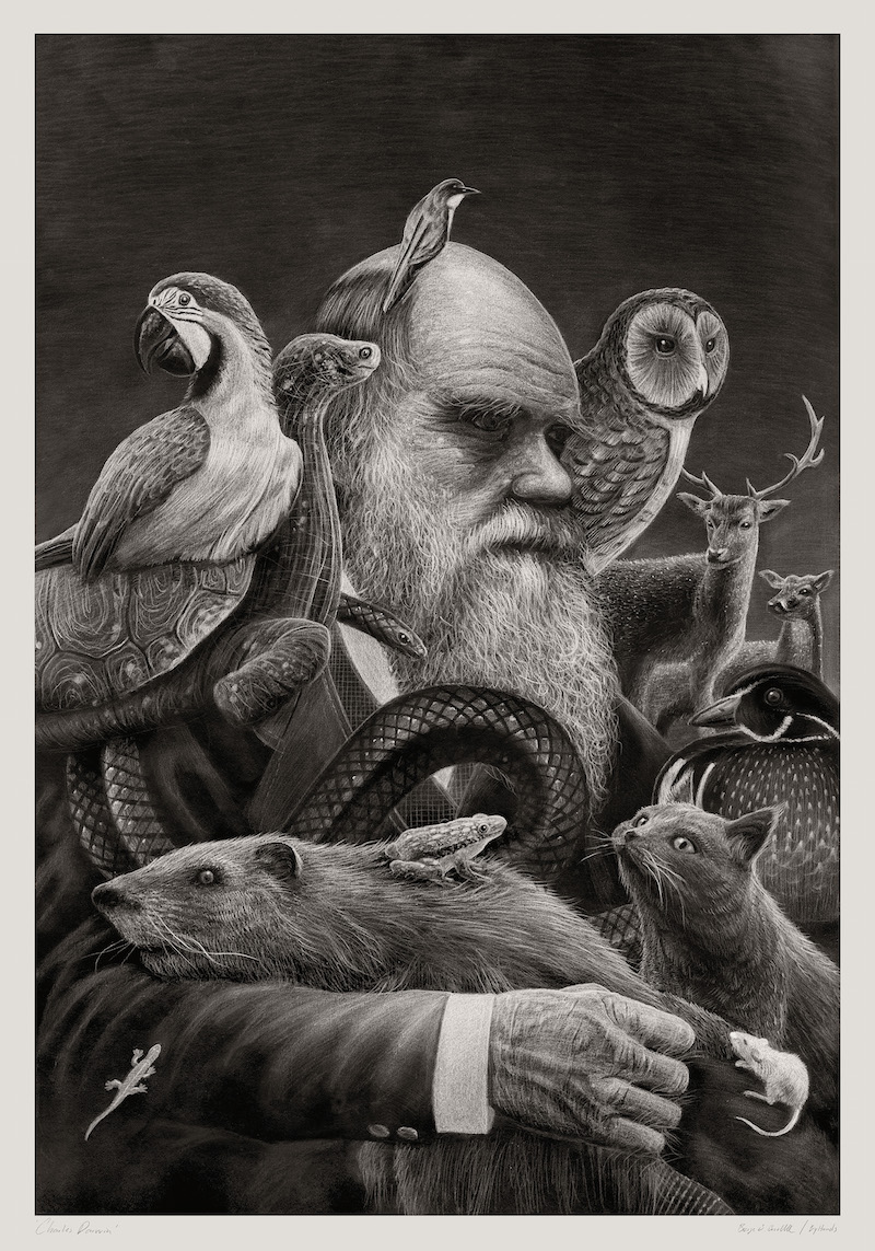 Darwinism – Børge Bredenbekk