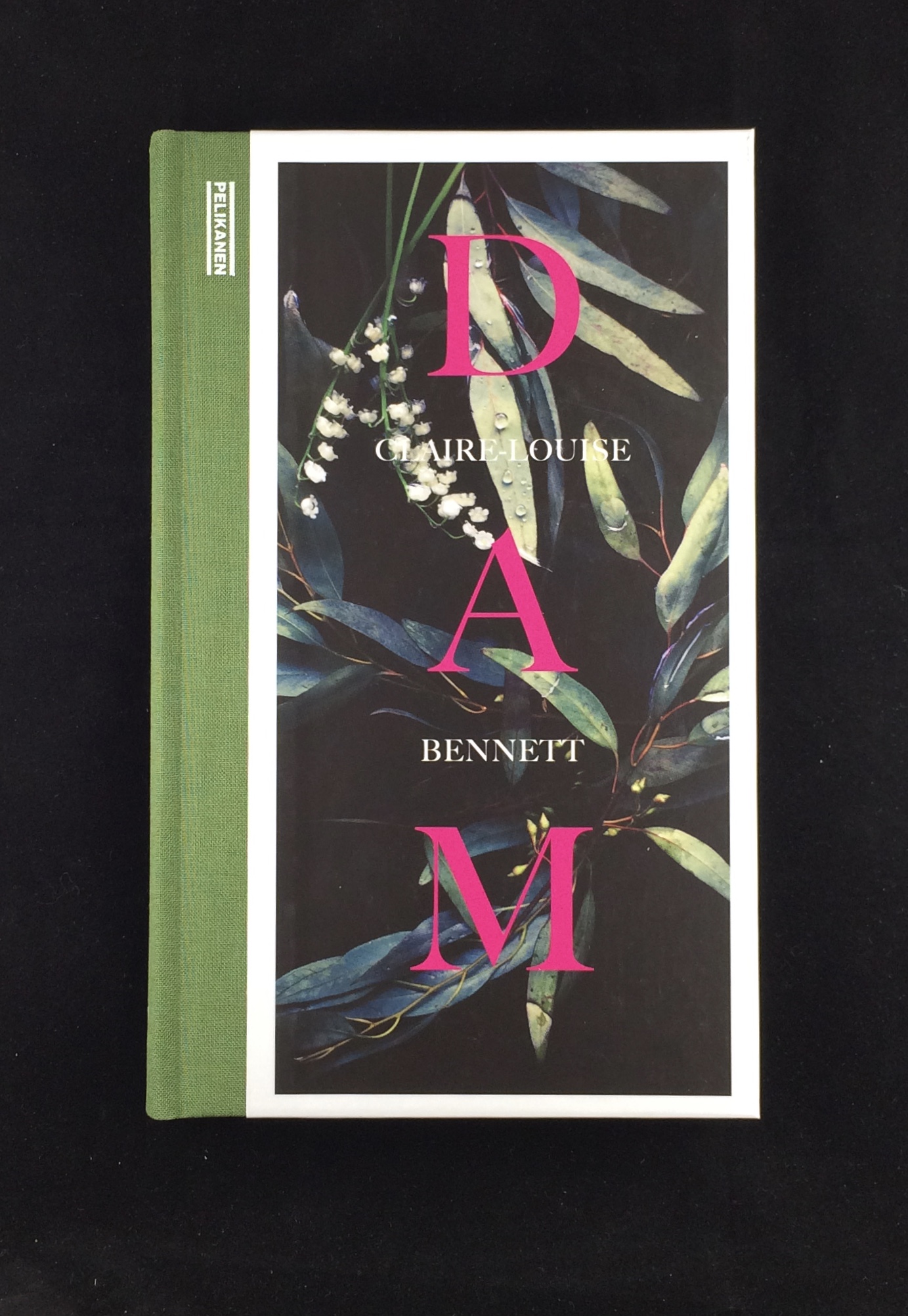 Claire-Louise Bennett - Dam