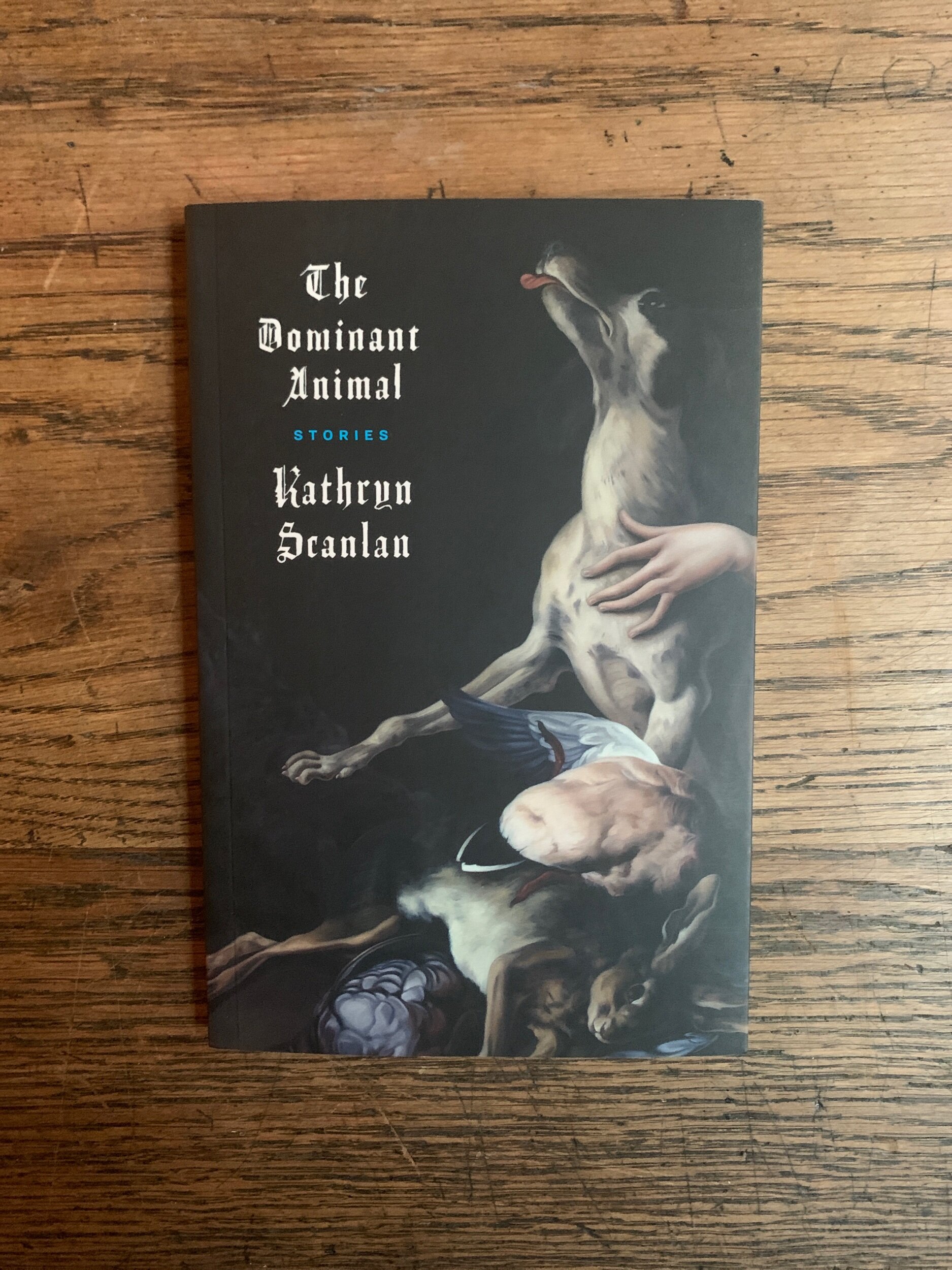 Kathryn Scanlan: The Dominant Animal