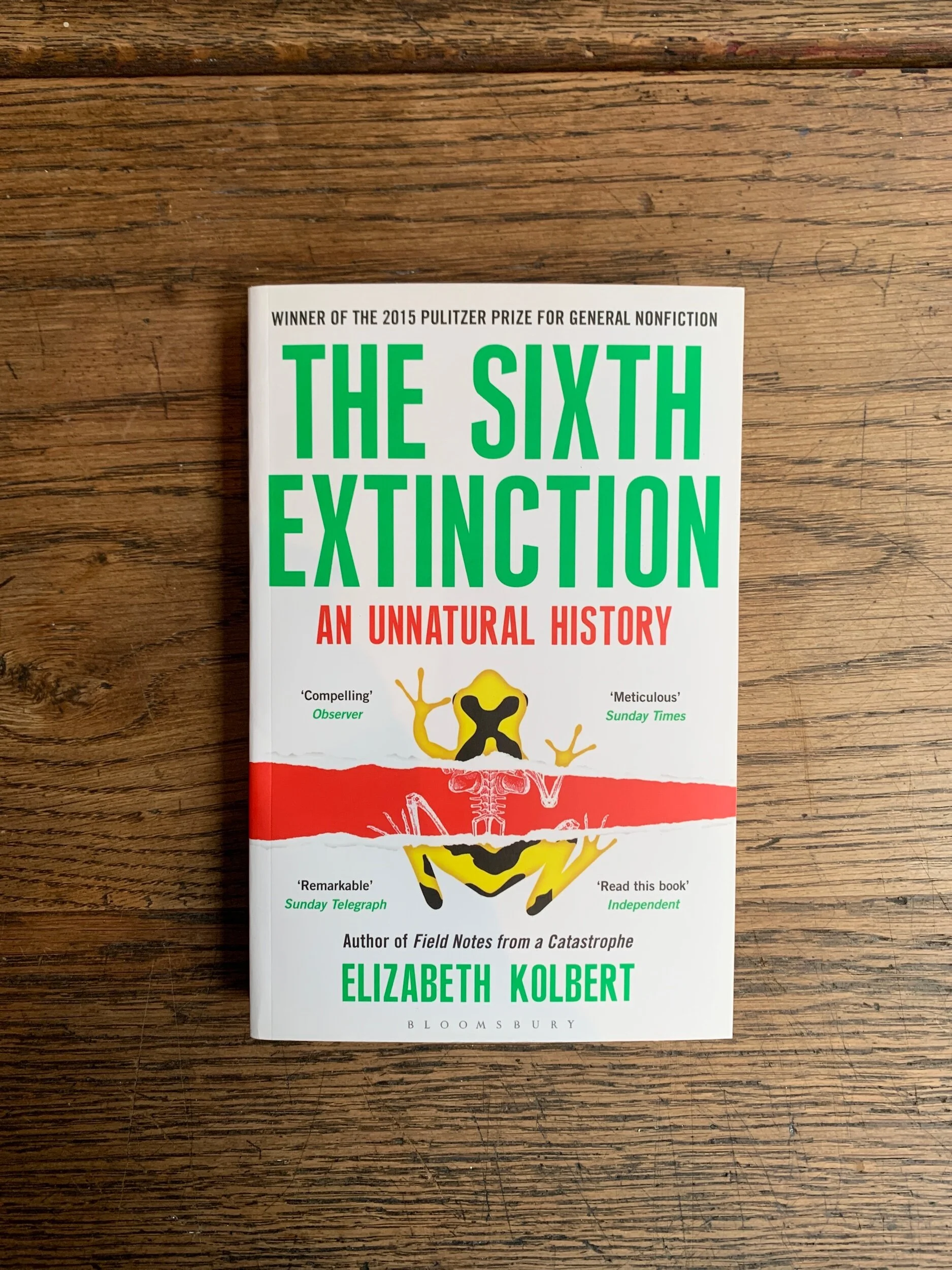 F8546F79-29B7-41BB-ACE6-BCE92E372448