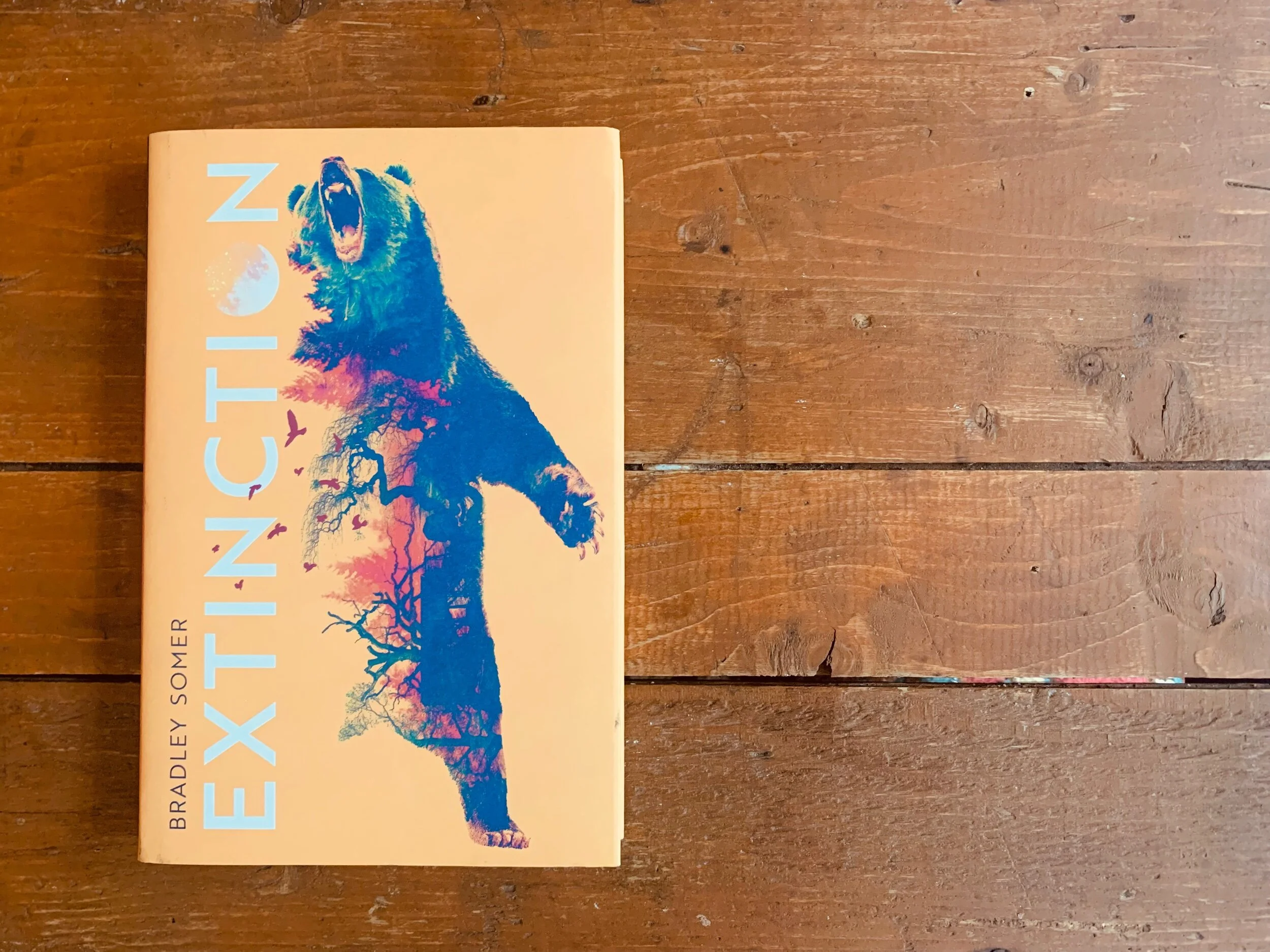 2F7E38D3-B902-492F-BC72-DEFA1C0D9962