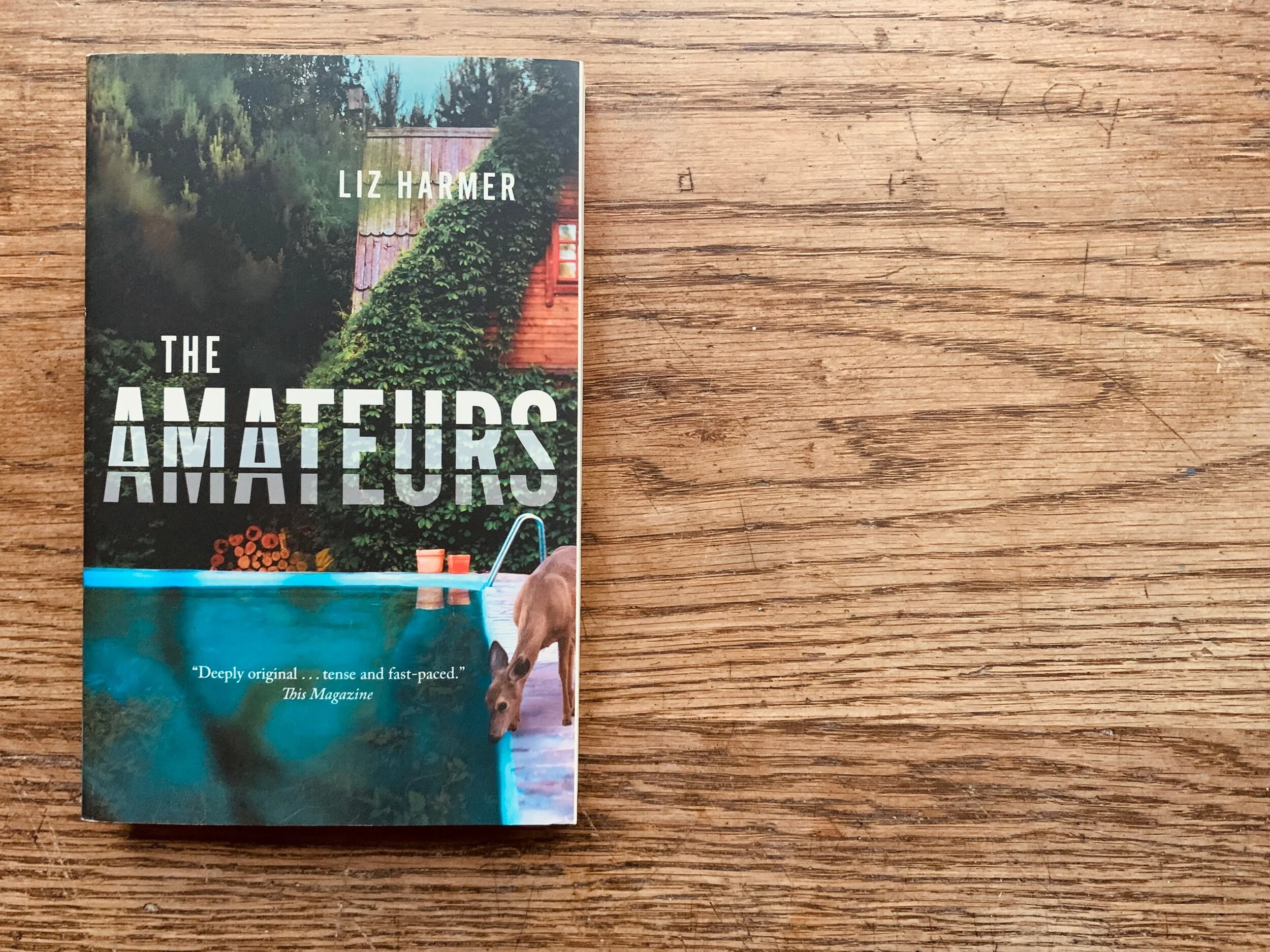 F12B8BF9-9E91-41EA-8220-008B8605493D