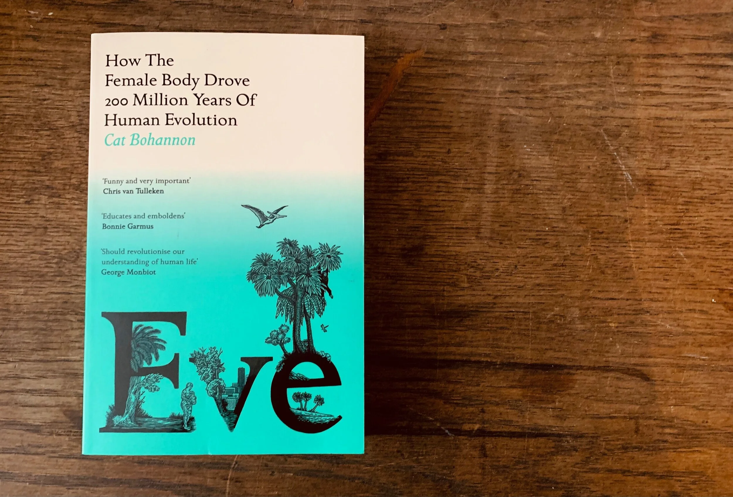 C6C5F74B-06D5-420B-979C-9C58C9B264F1