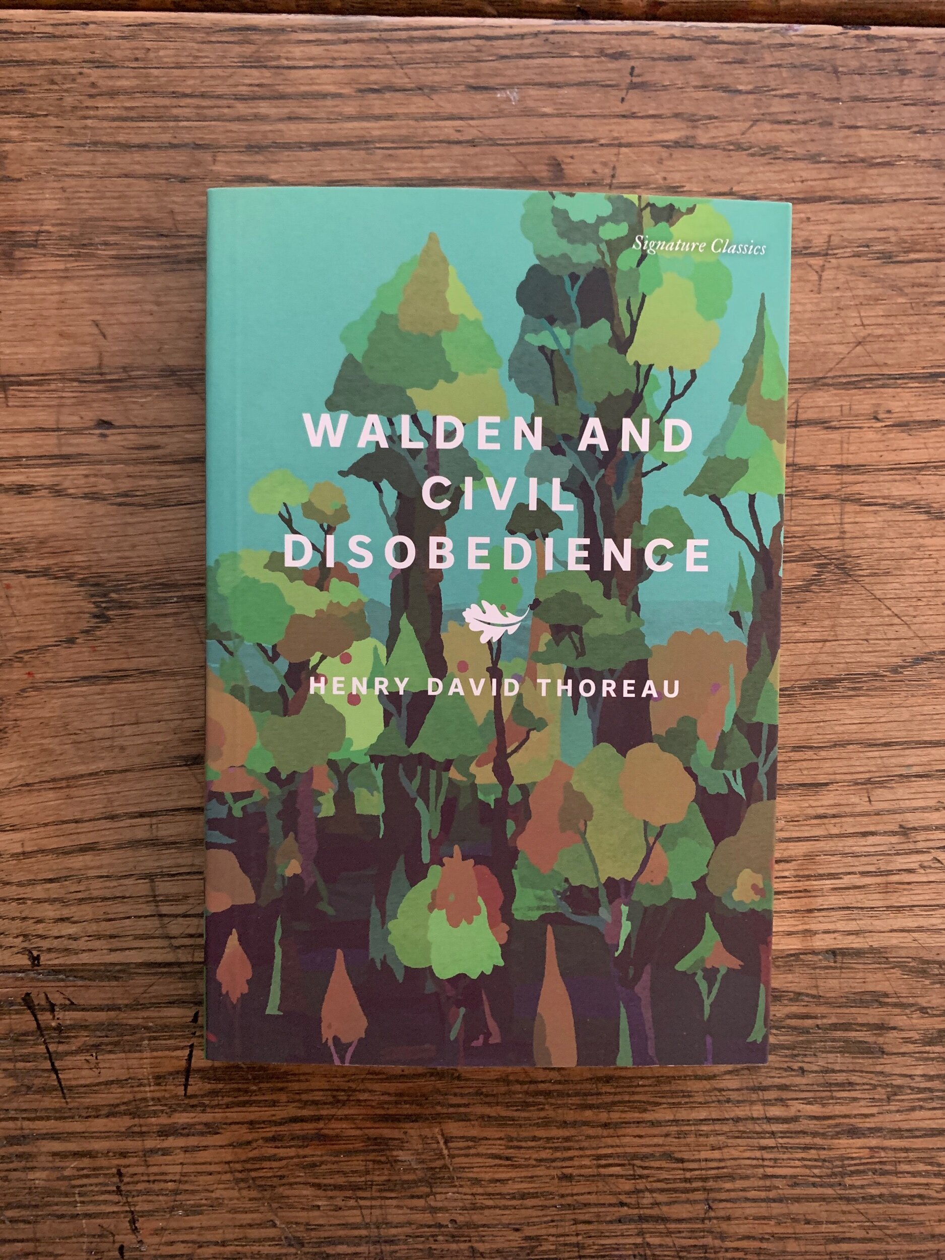 863E8659-698D-4074-996C-11FB5FB7AC6E