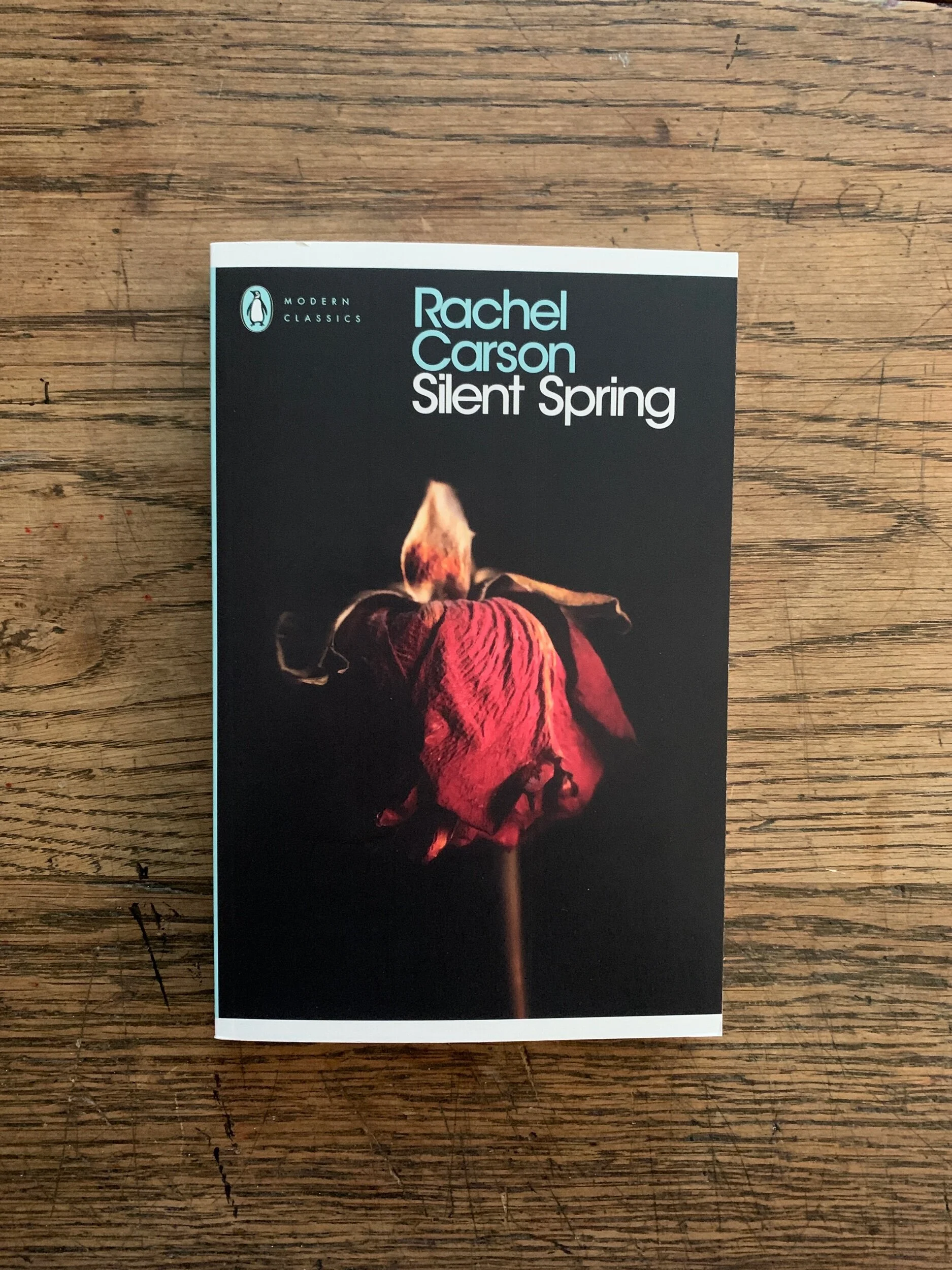 AE5AC65B-5F77-4B2E-AE9E-E62FBF652248