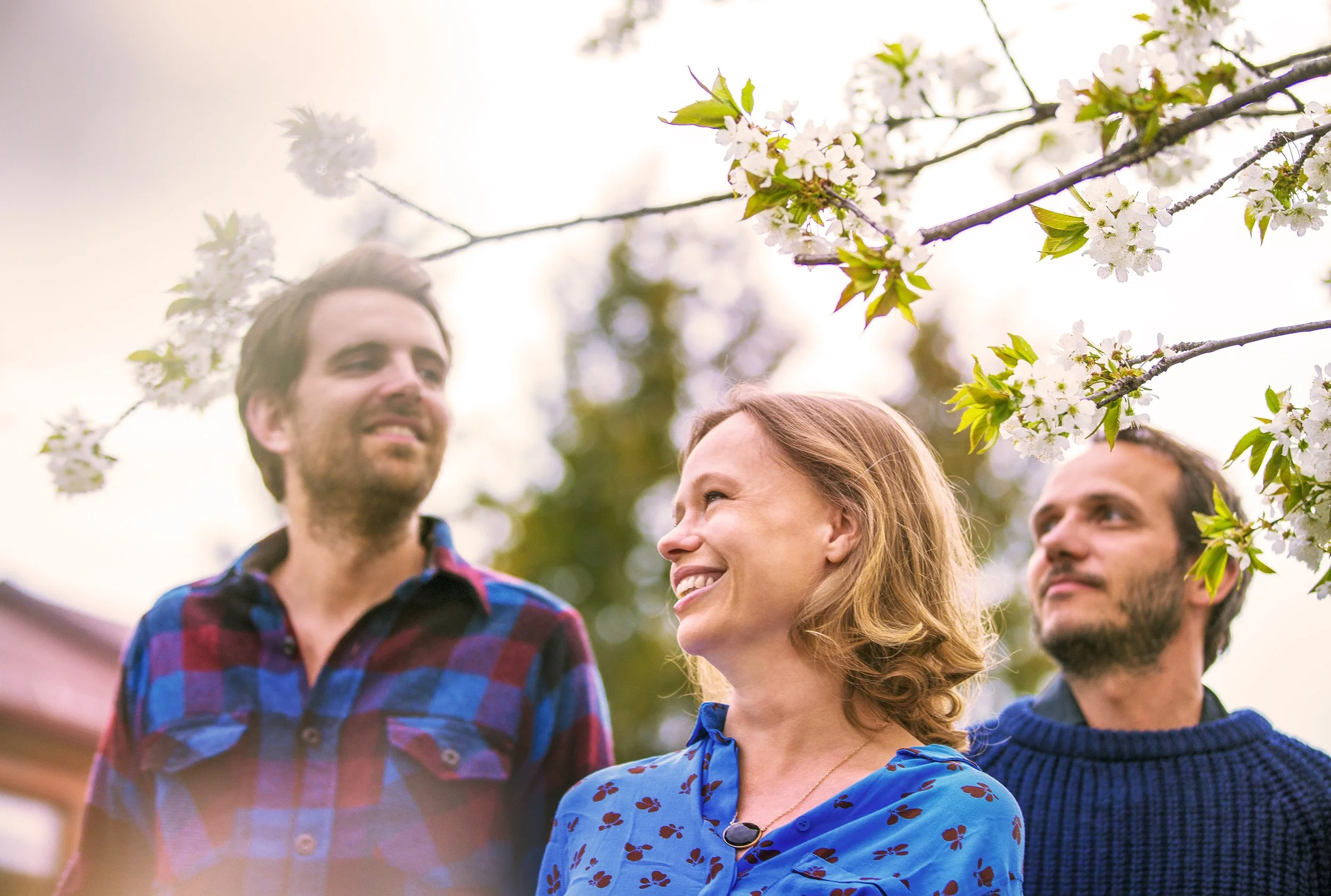 Konsert :  Hytta Trio
