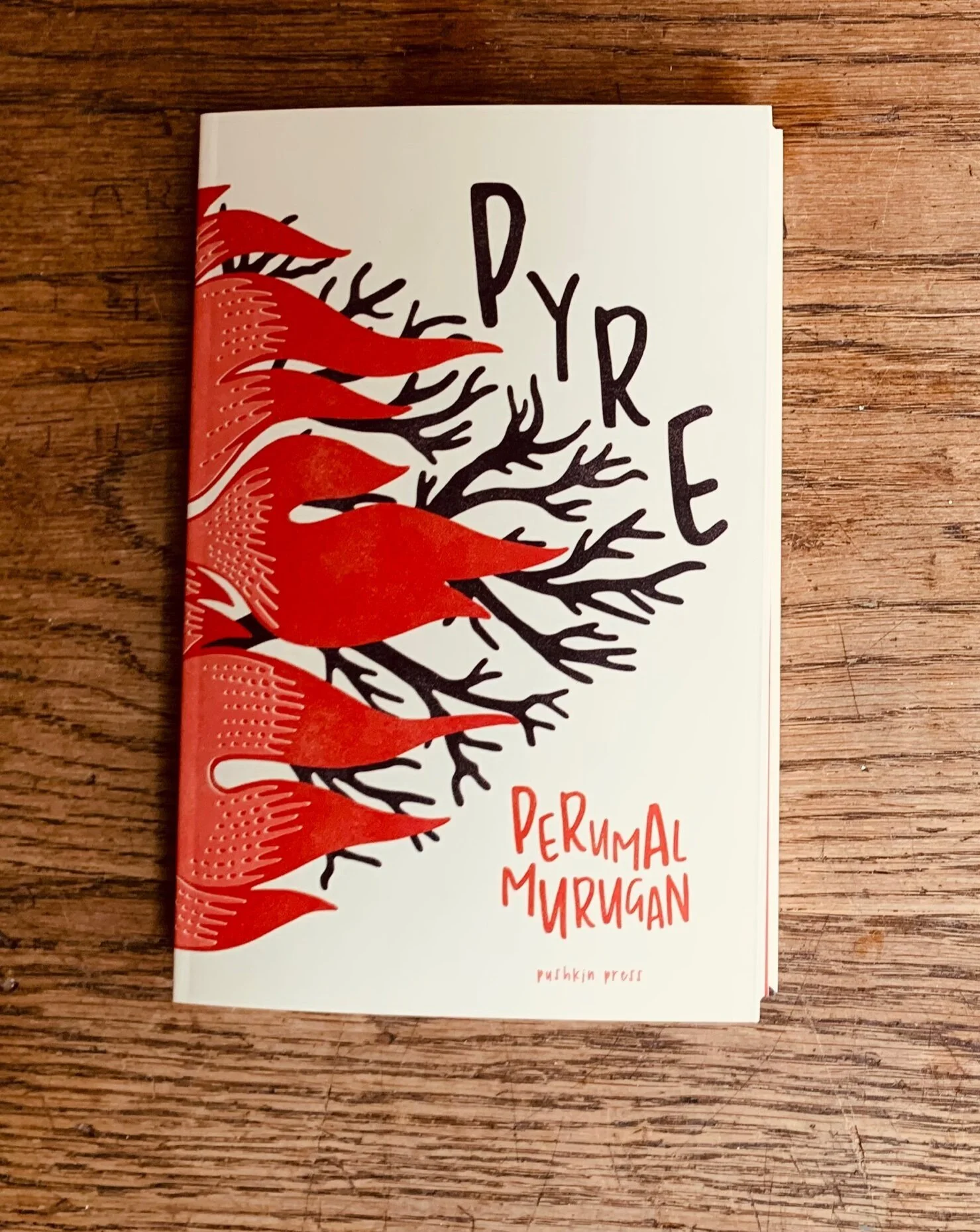 58C9F4BD-52DA-4EE5-BAB1-25A87DD09C28