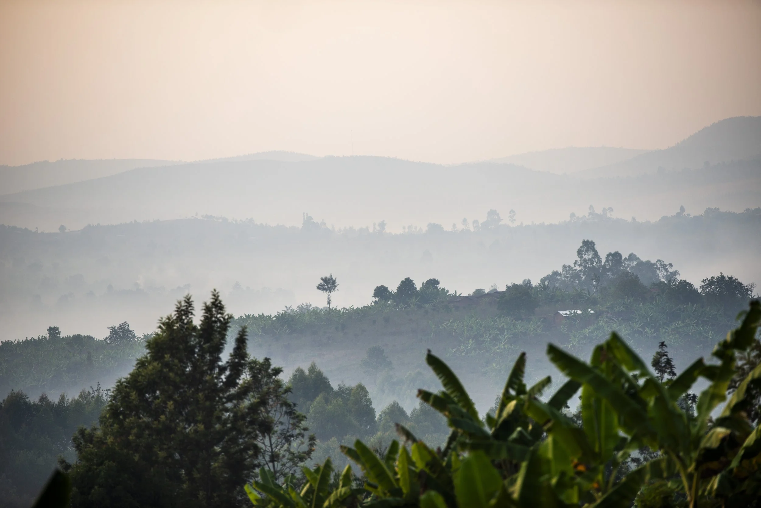 20260718_DAY_2_GITEGA_171 kopie.jpg