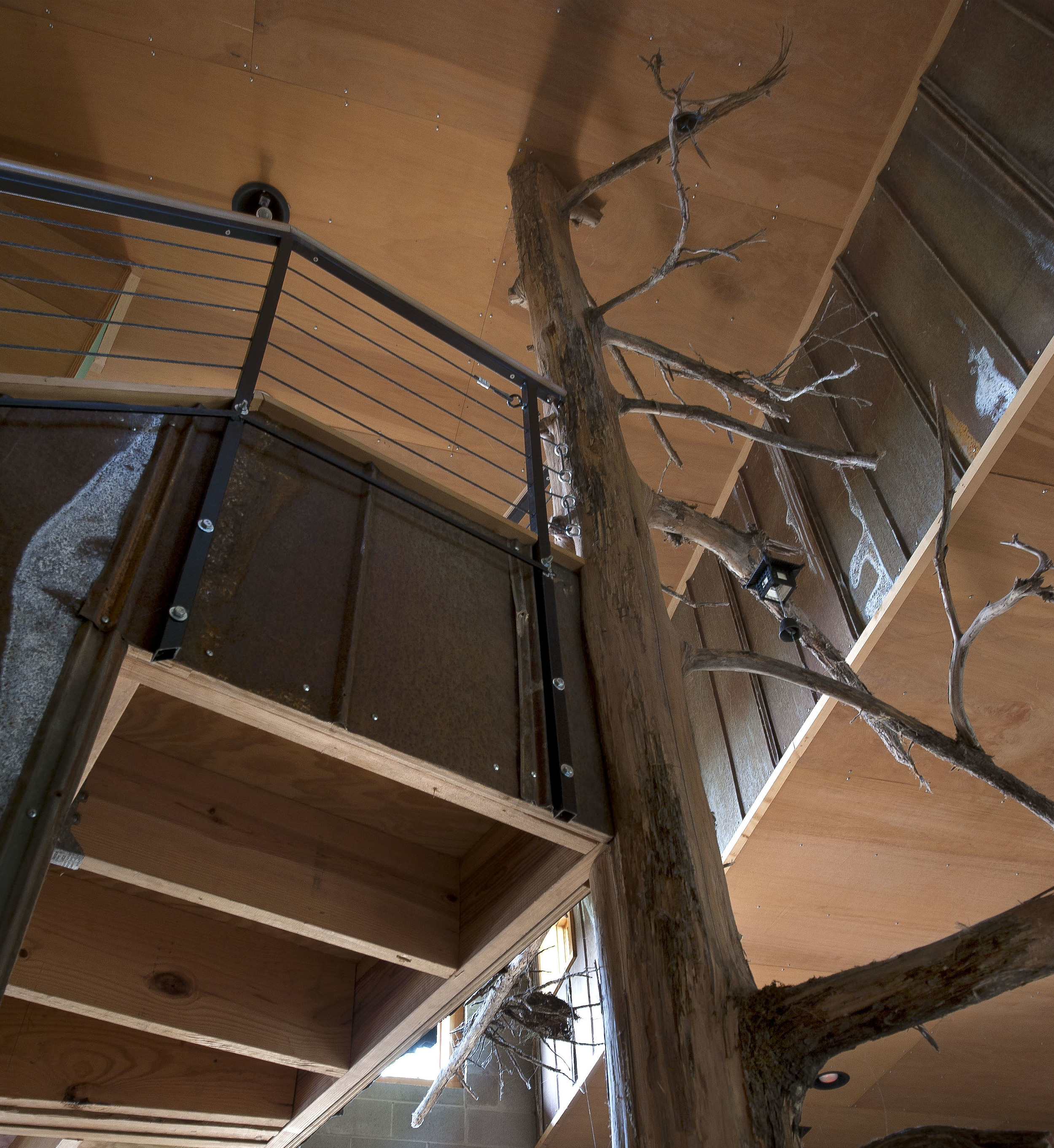 A majestic standing dead cedar found on the property supports the staircase to the sleeping loft. 