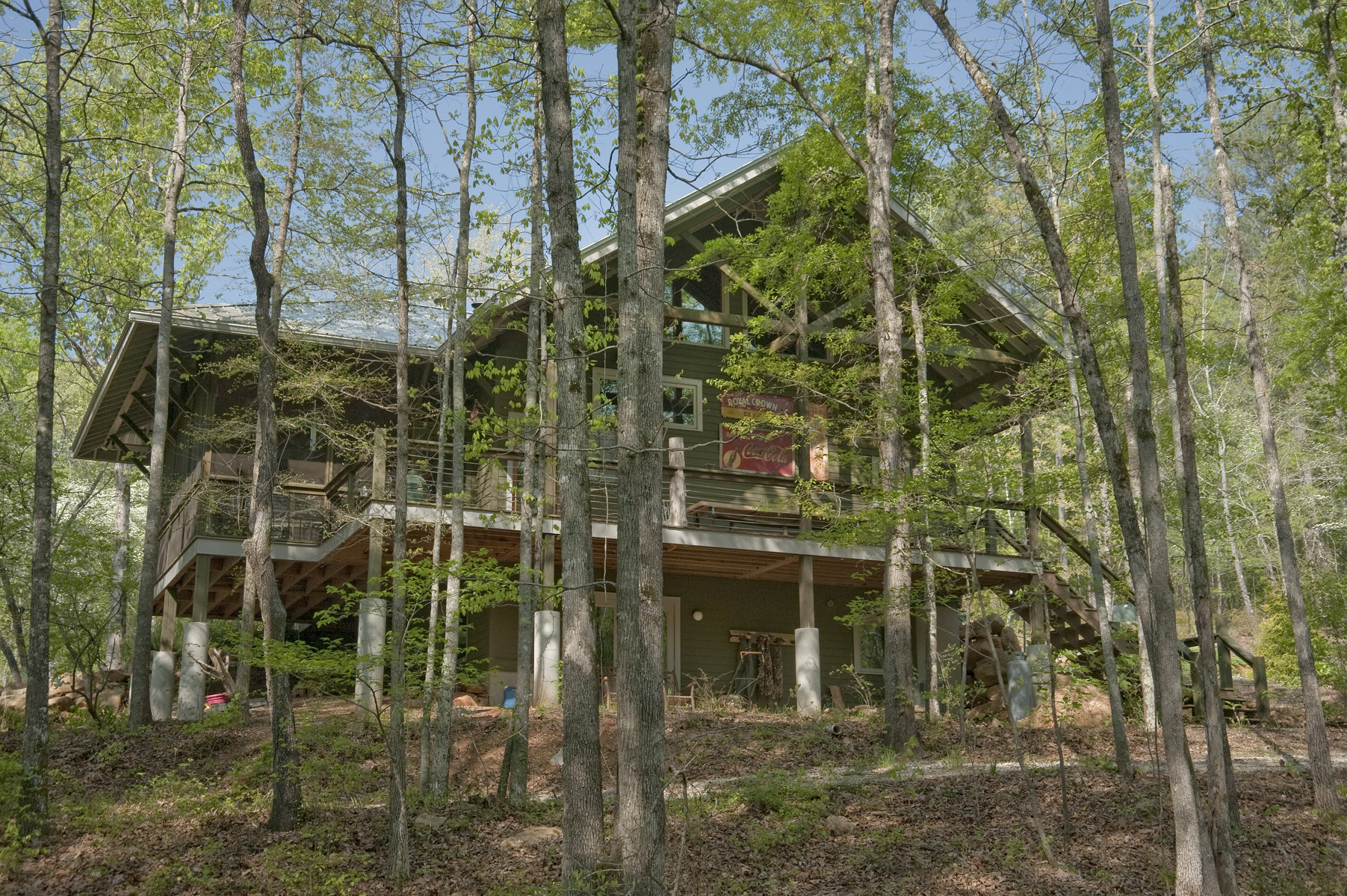 treed-side-view.jpg