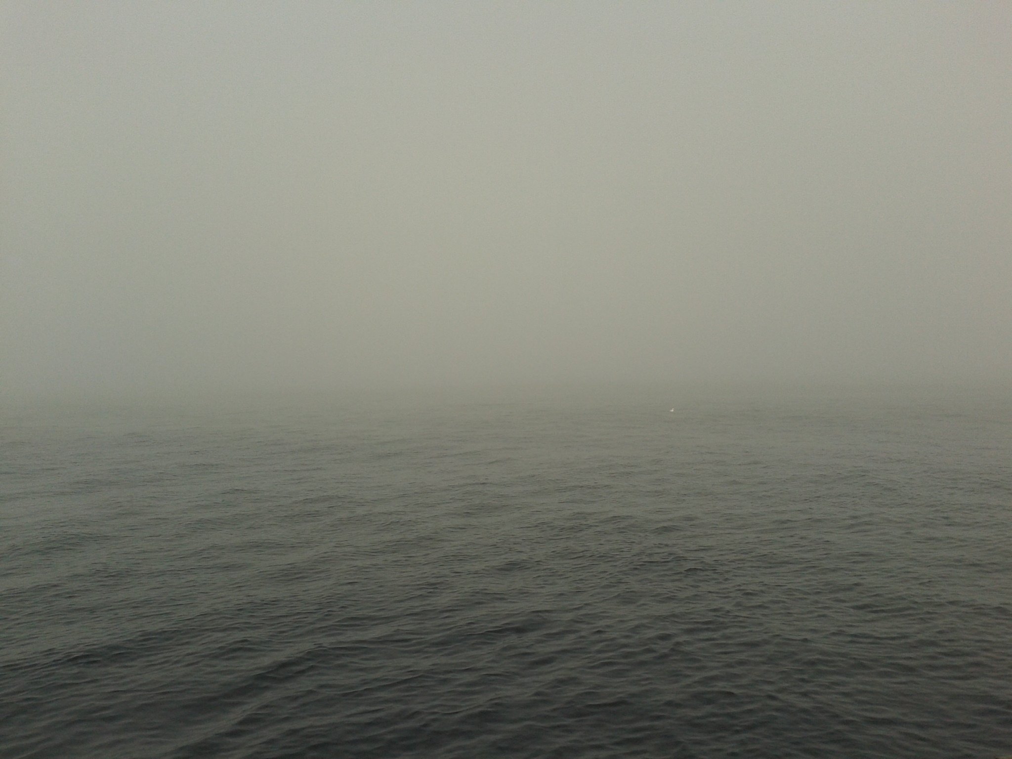 befogged.jpg