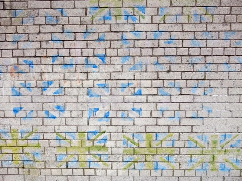 Image: Vera Drebusch