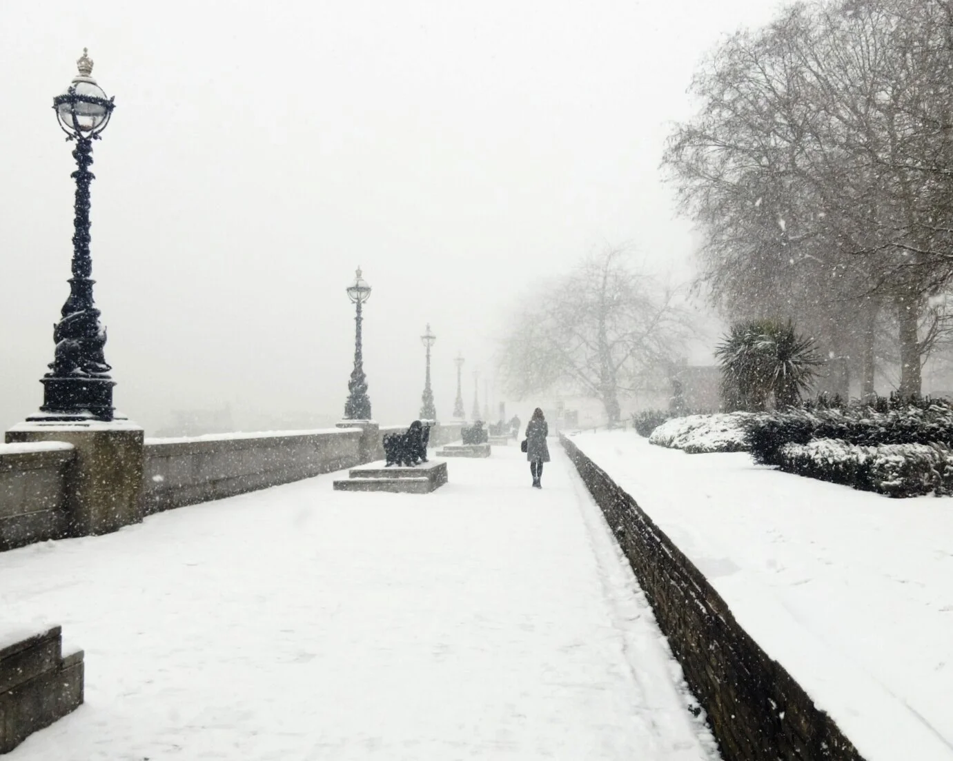 Snow.jpg