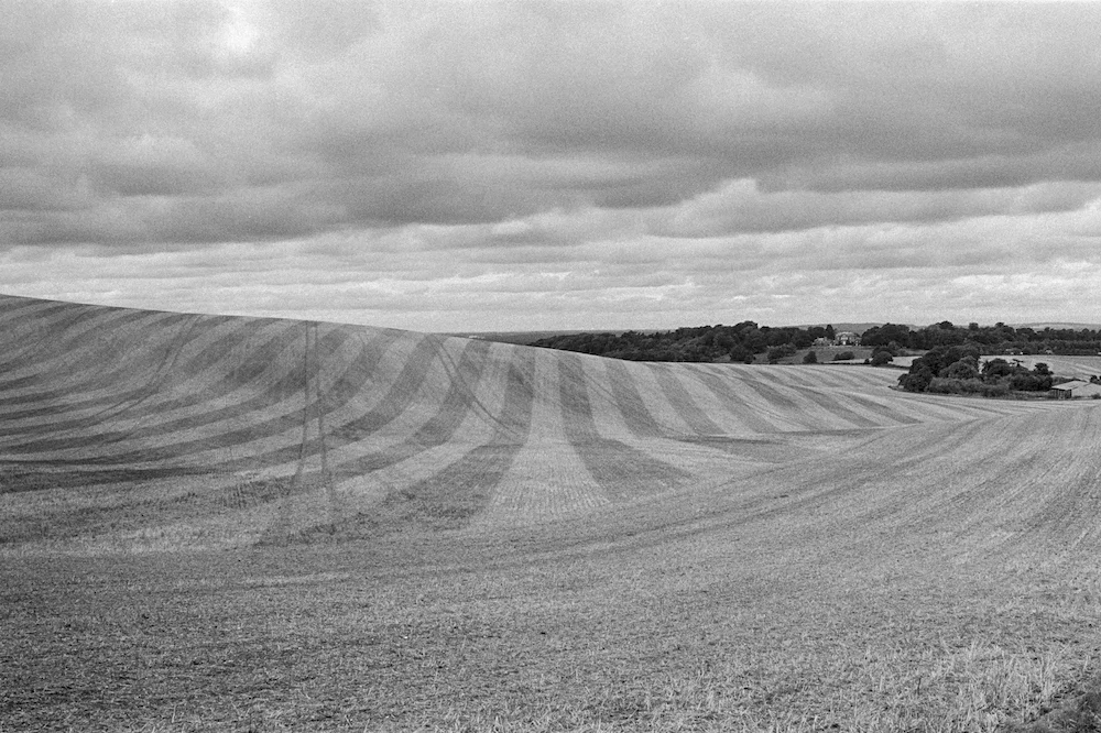 Stripes.jpg