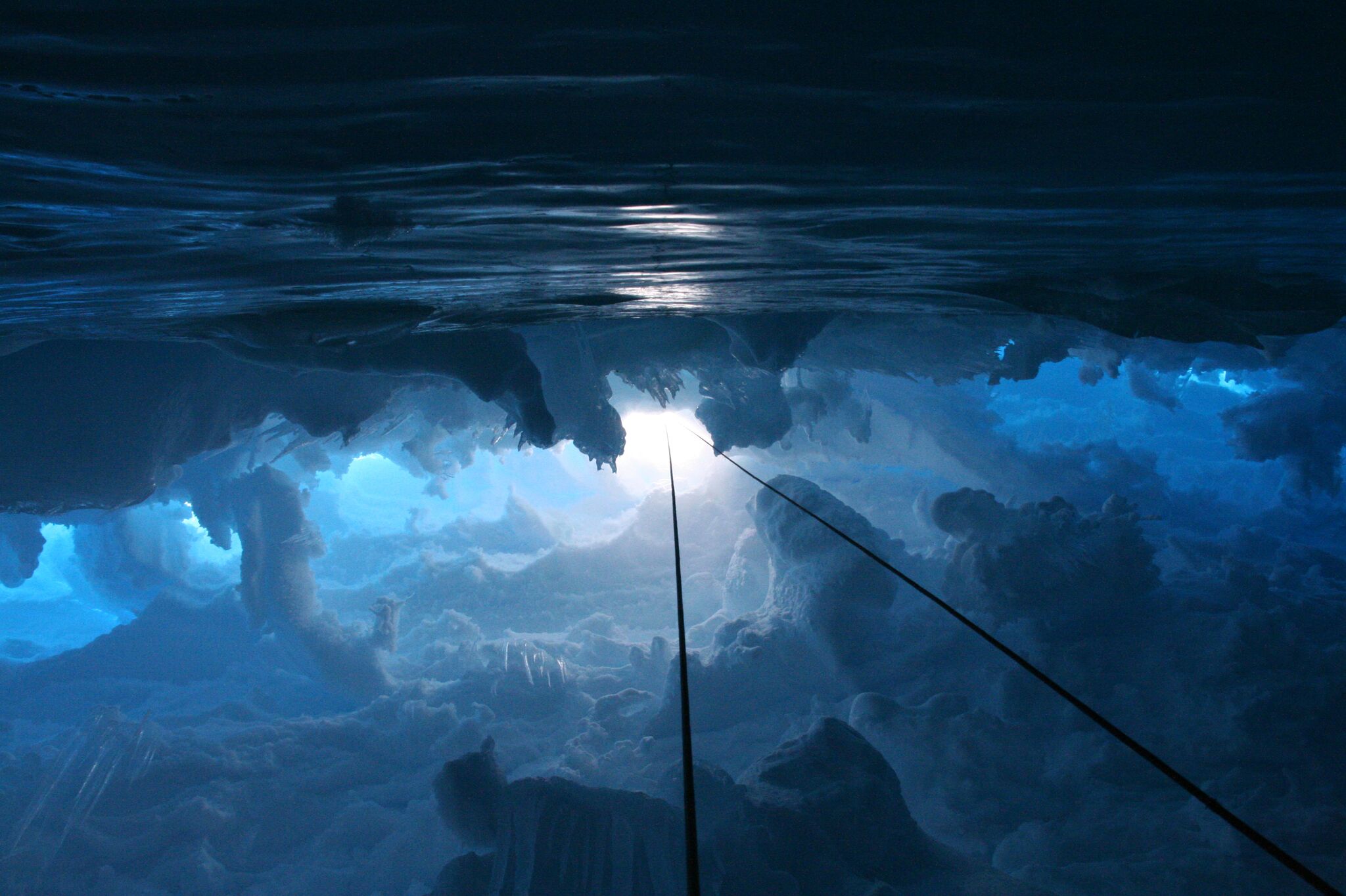 Polar Wandering, 2006 by Layla Curtis