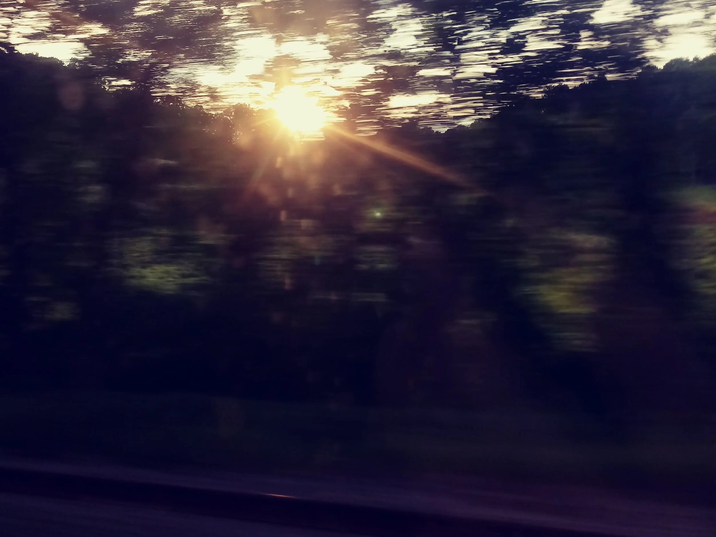 Trains_sun in trees.jpg