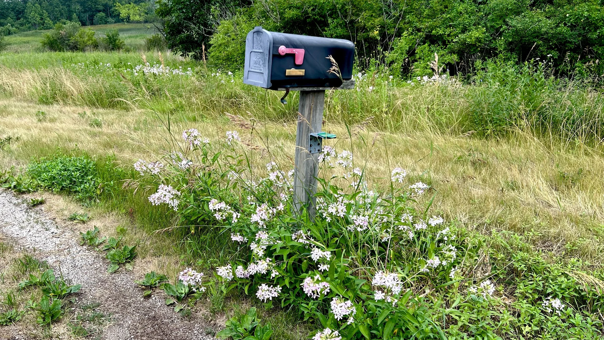 David Rubenstein_10314.JPG