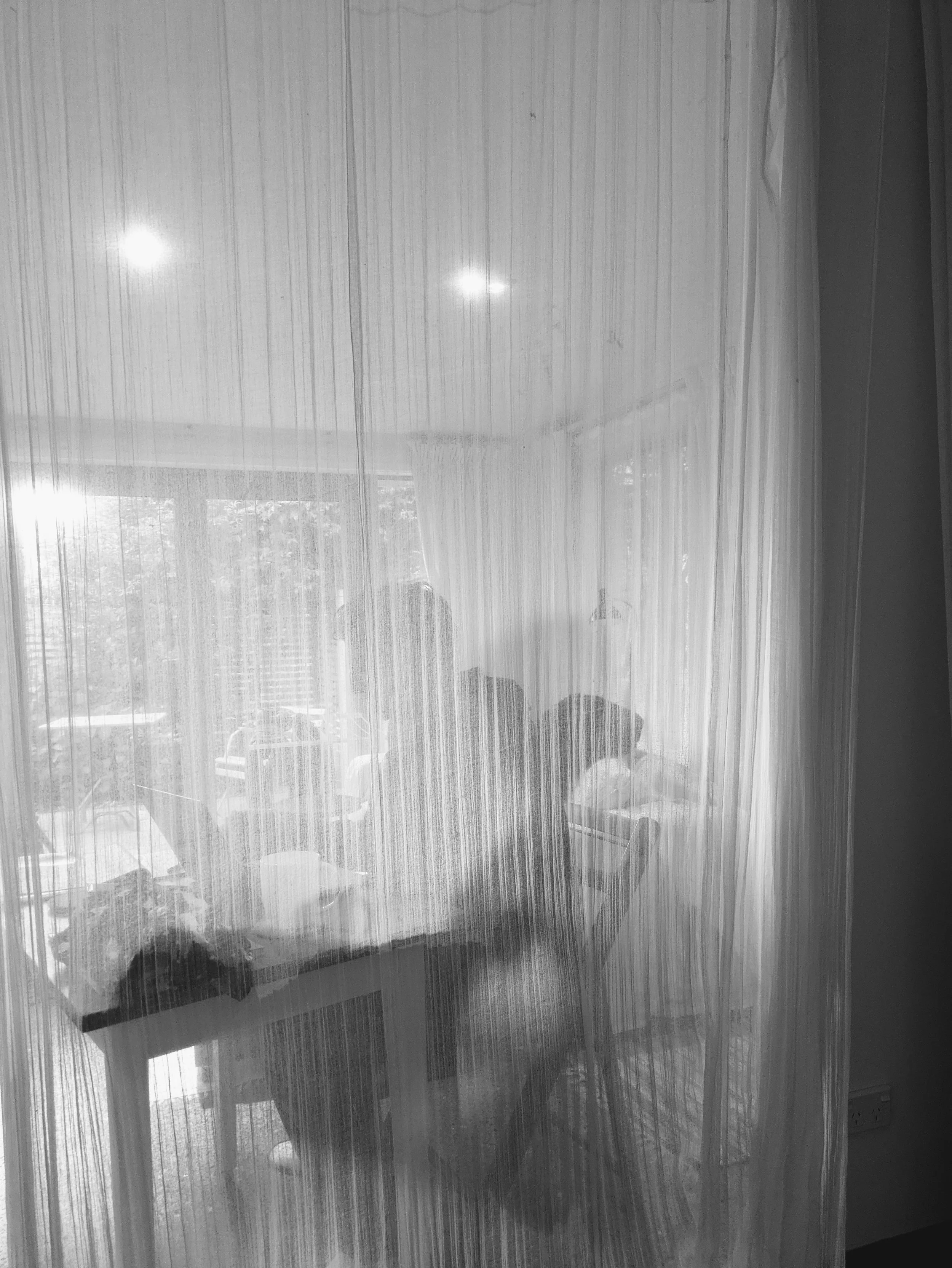 Rachel Turney_Adrift New Zealand.jpg