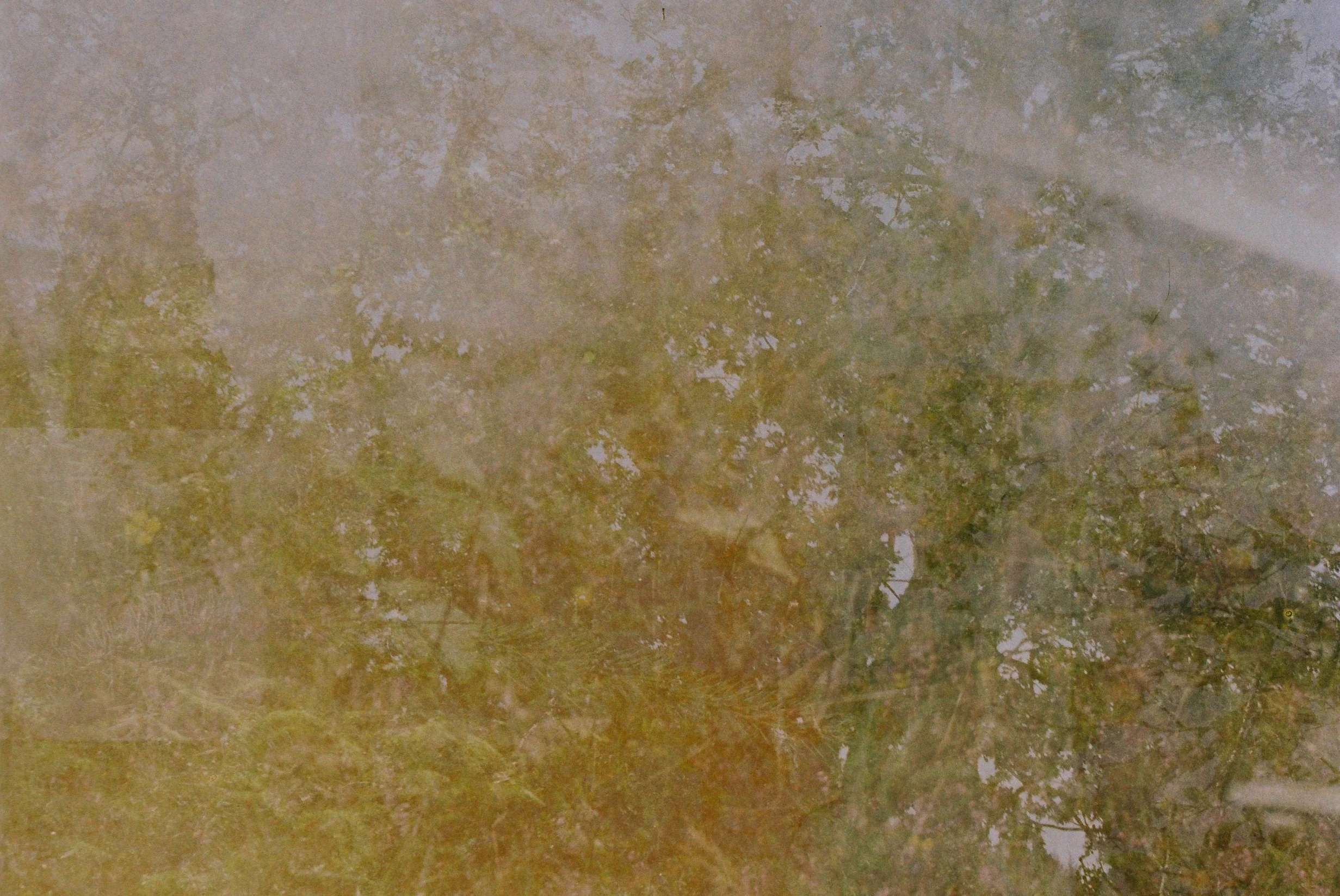 Inscription / Interruption
