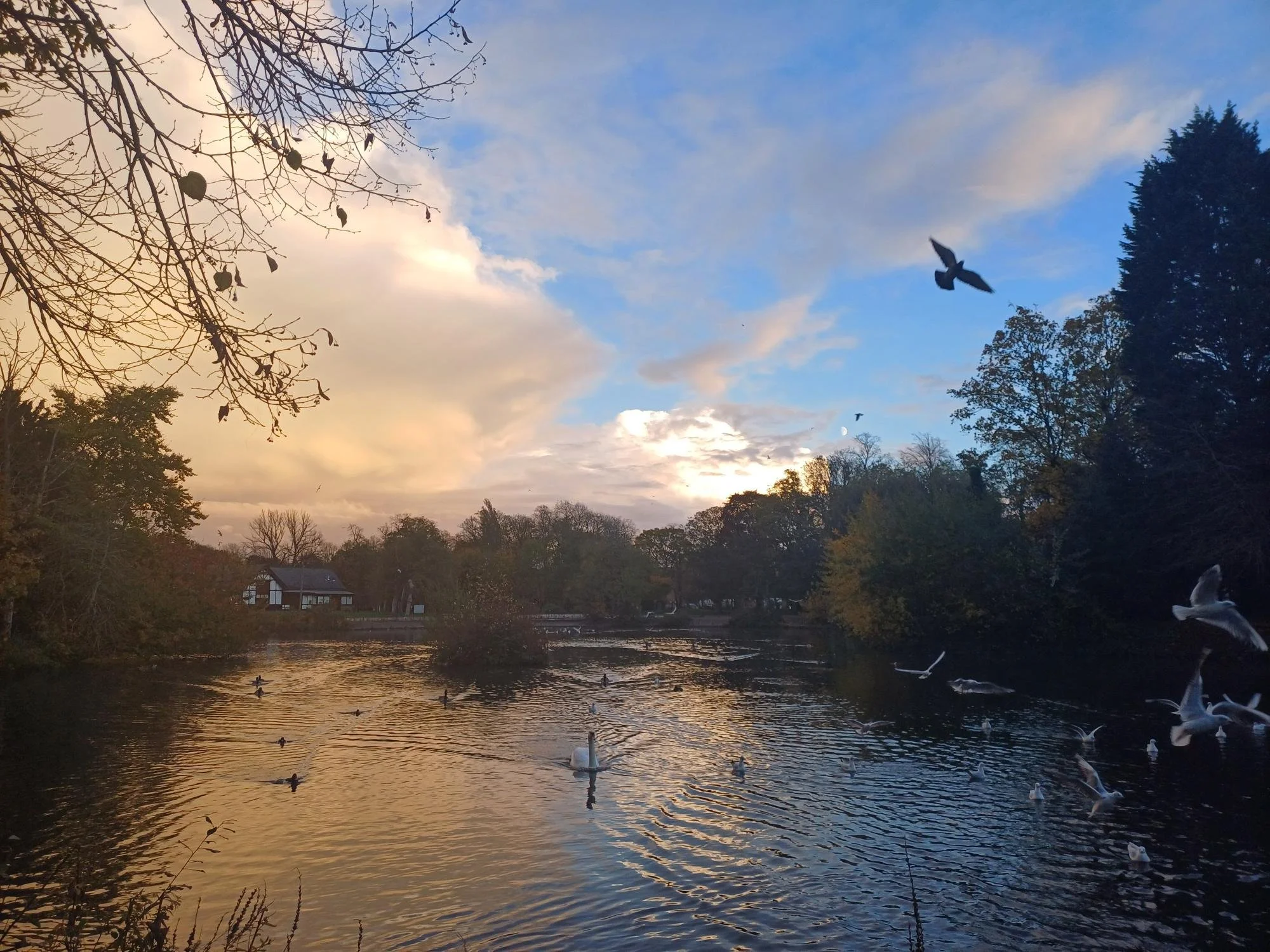 Whalley Range