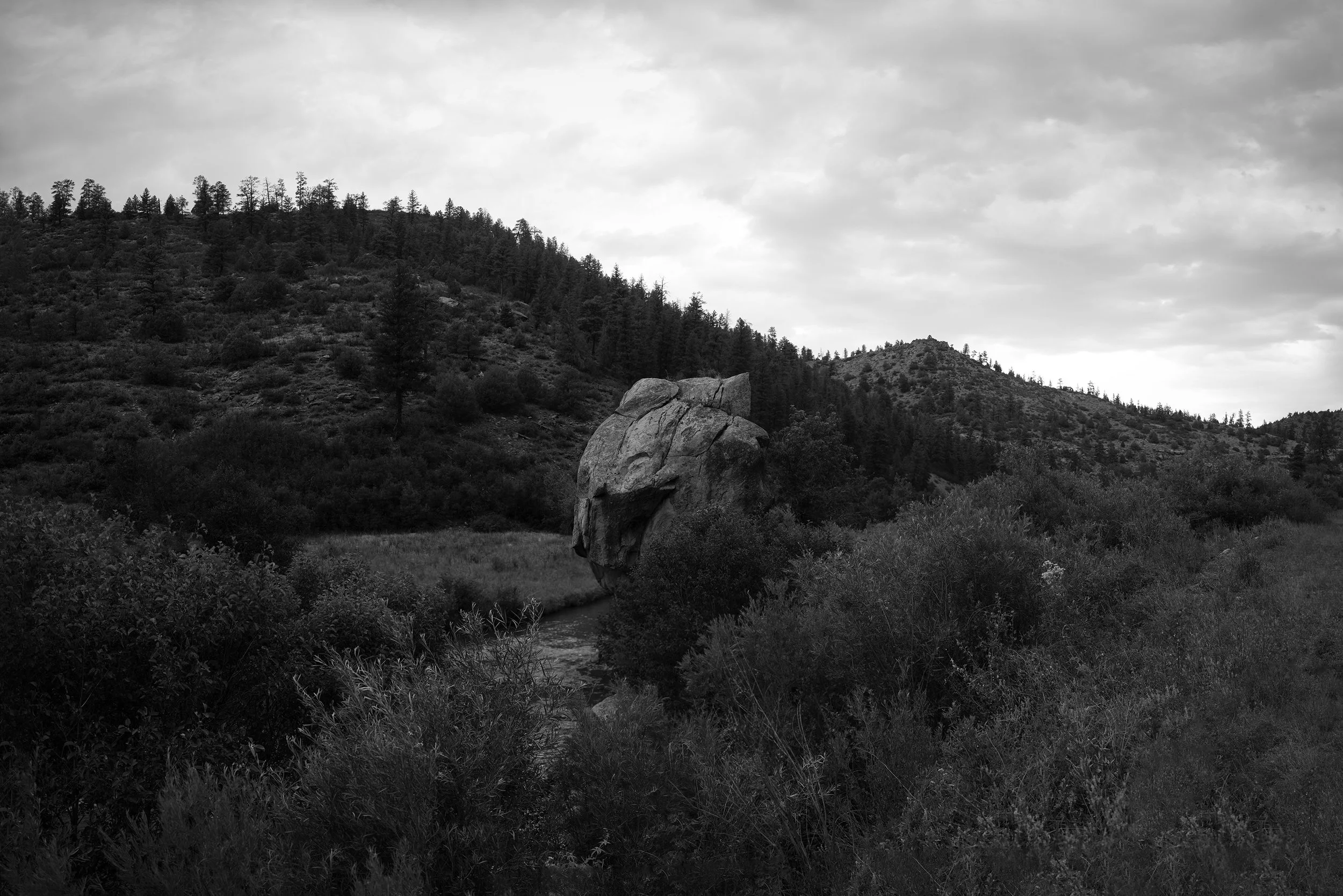 fike_horribilis_02_colorado_grizzly.jpg