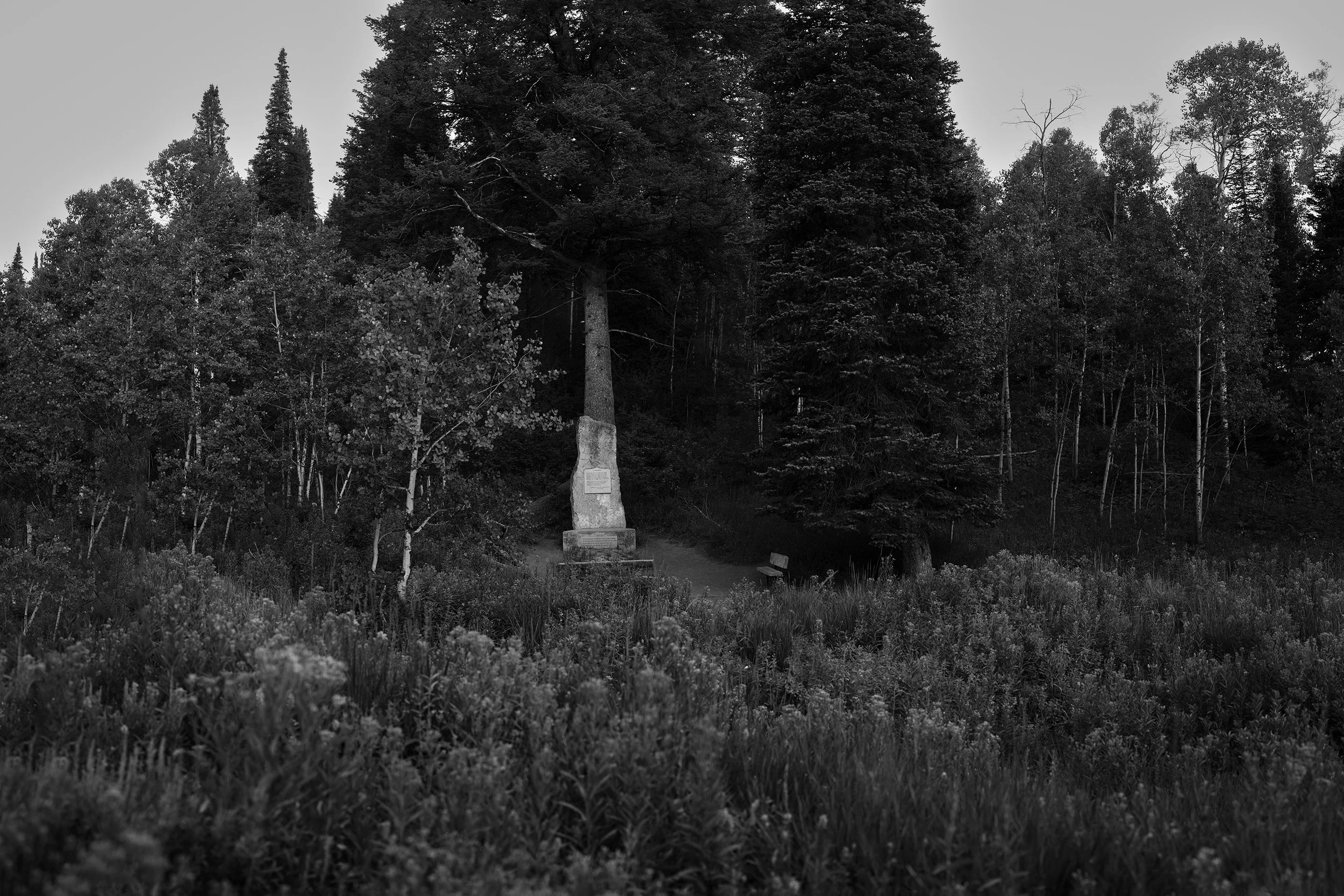 fike_horribilis_05_utah_grizzly.jpg