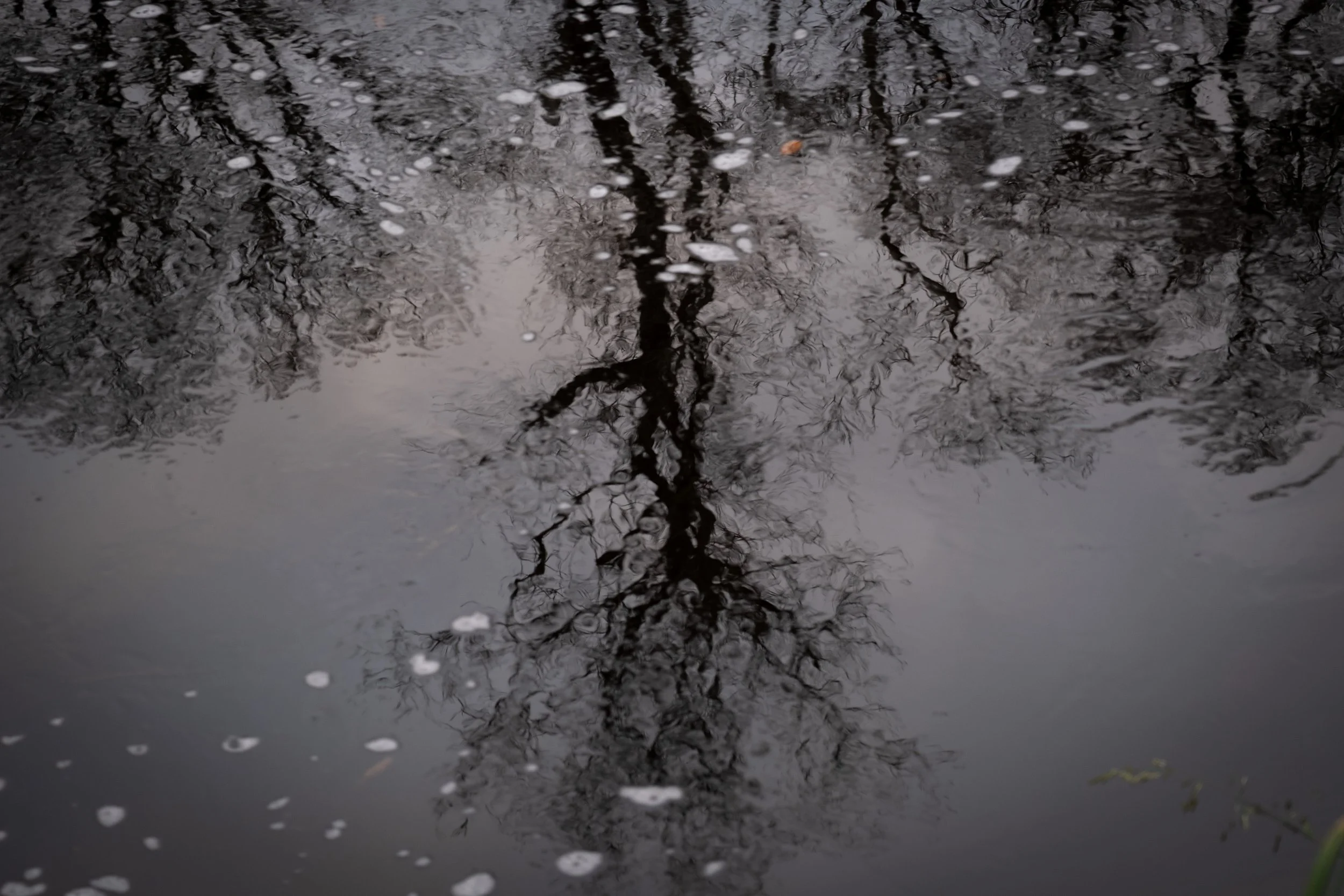 Three poems