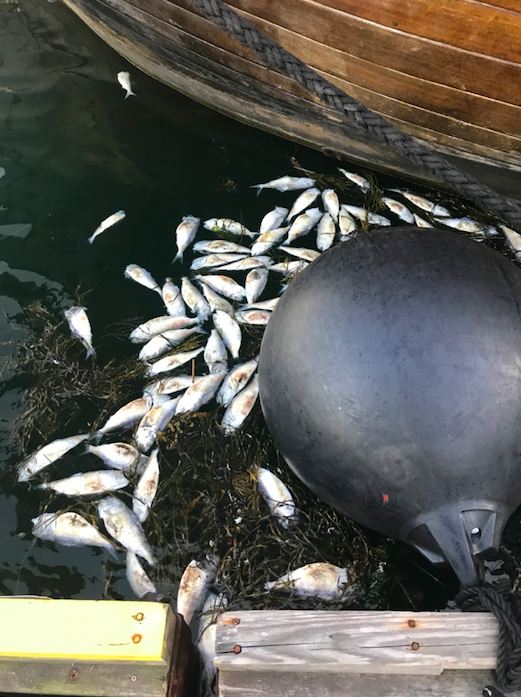 Screenshot 2025-06-13 at 10.42.51.png