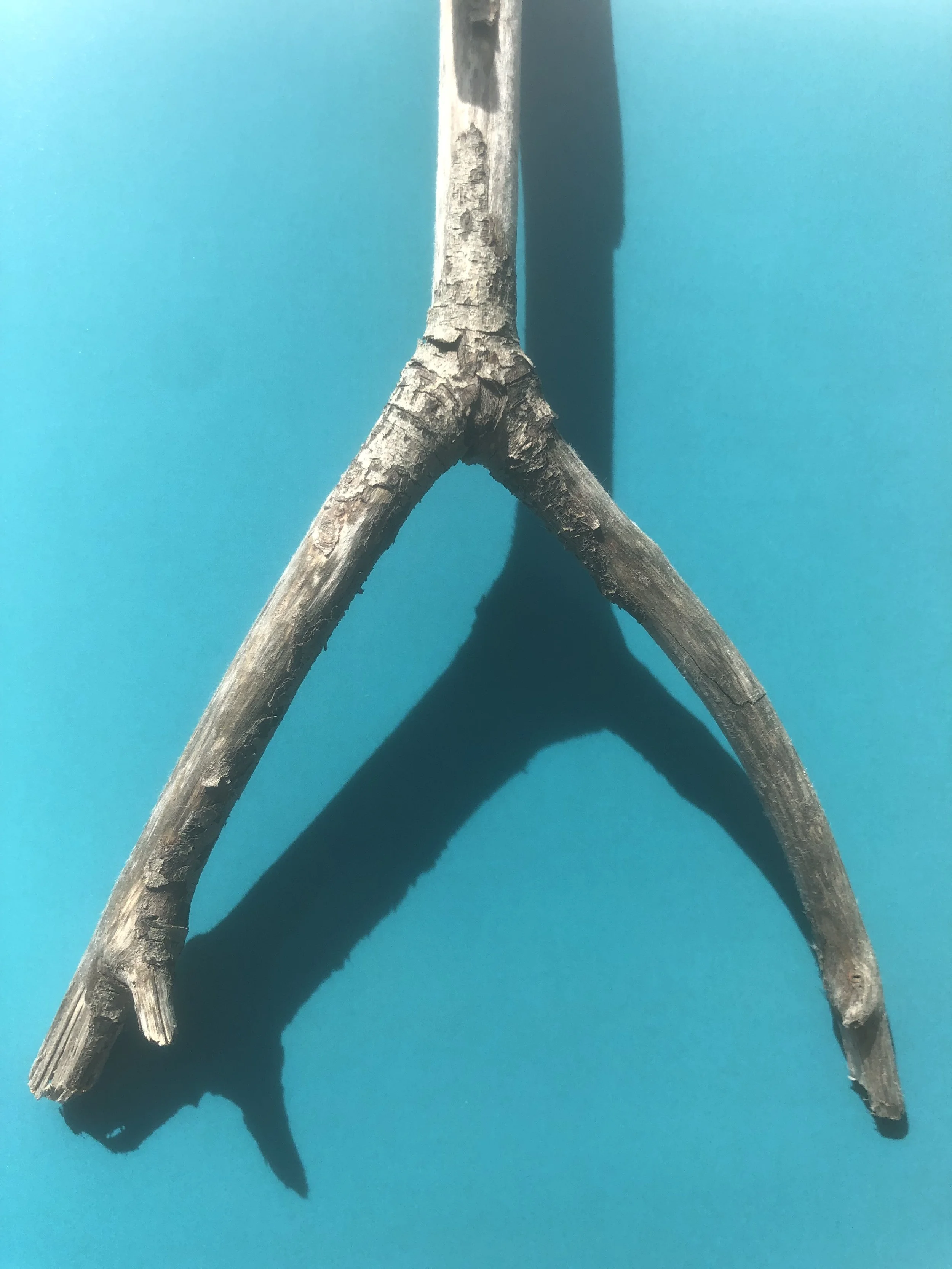 Sticks